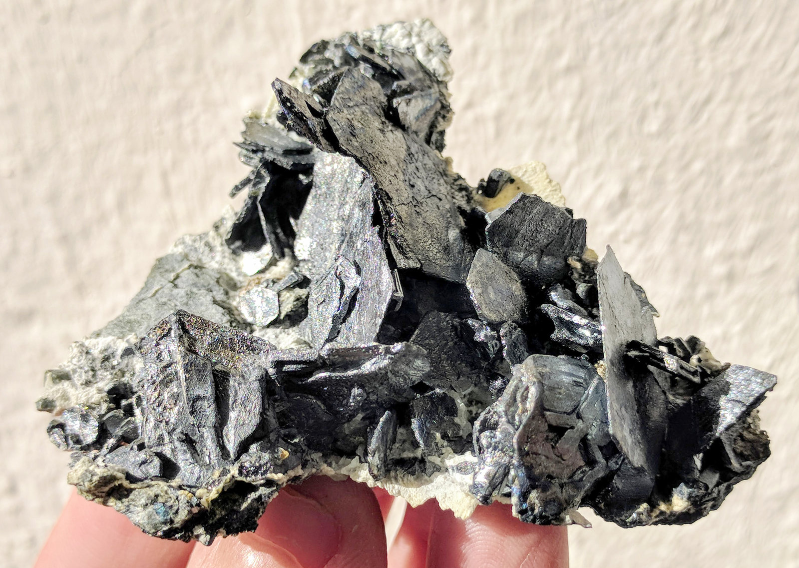 Djurleita-Chalcocita intercrecimiento
6,7 x 3,5 cm.
(Autor: carles)