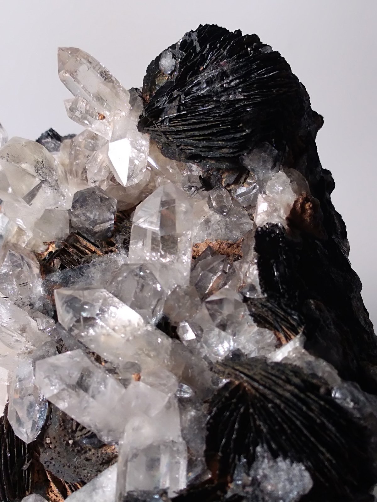 Hematites, Cuarzo
160 x 118 mm
(Autor: Sante Celiberti)