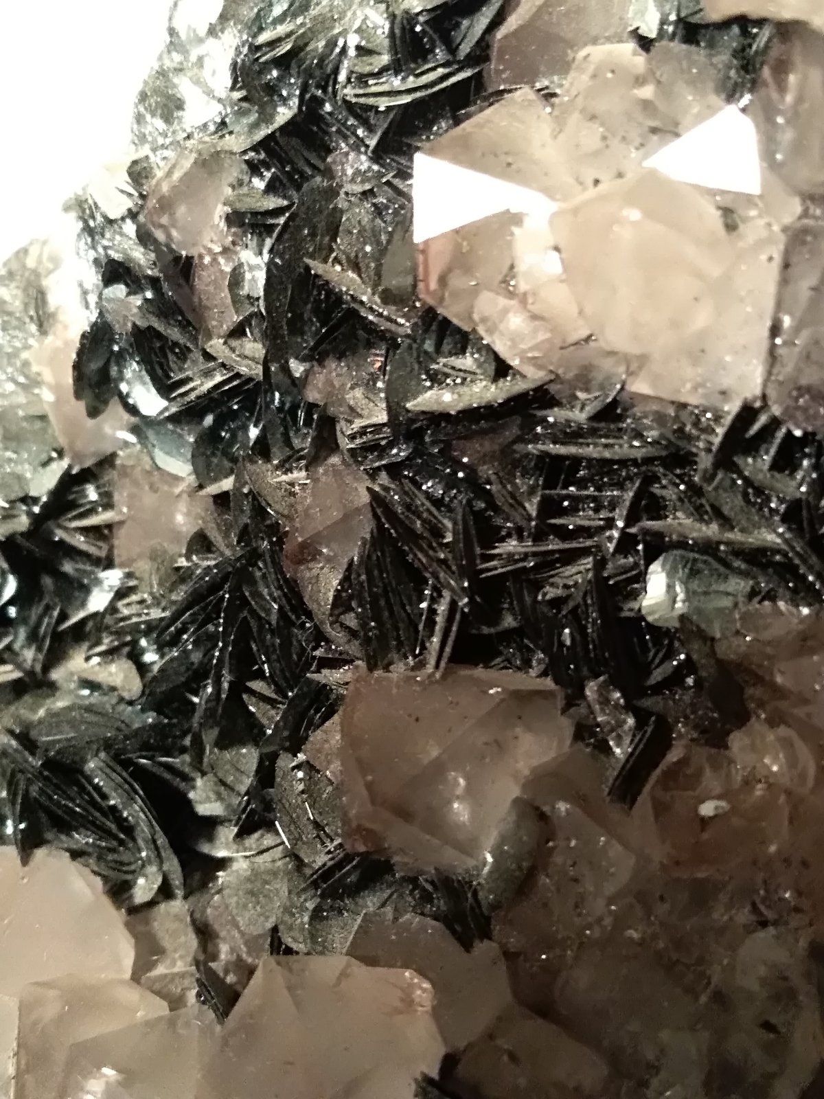 Hematites, Cuarzo
190 x 145 mm
(Autor: Sante Celiberti)