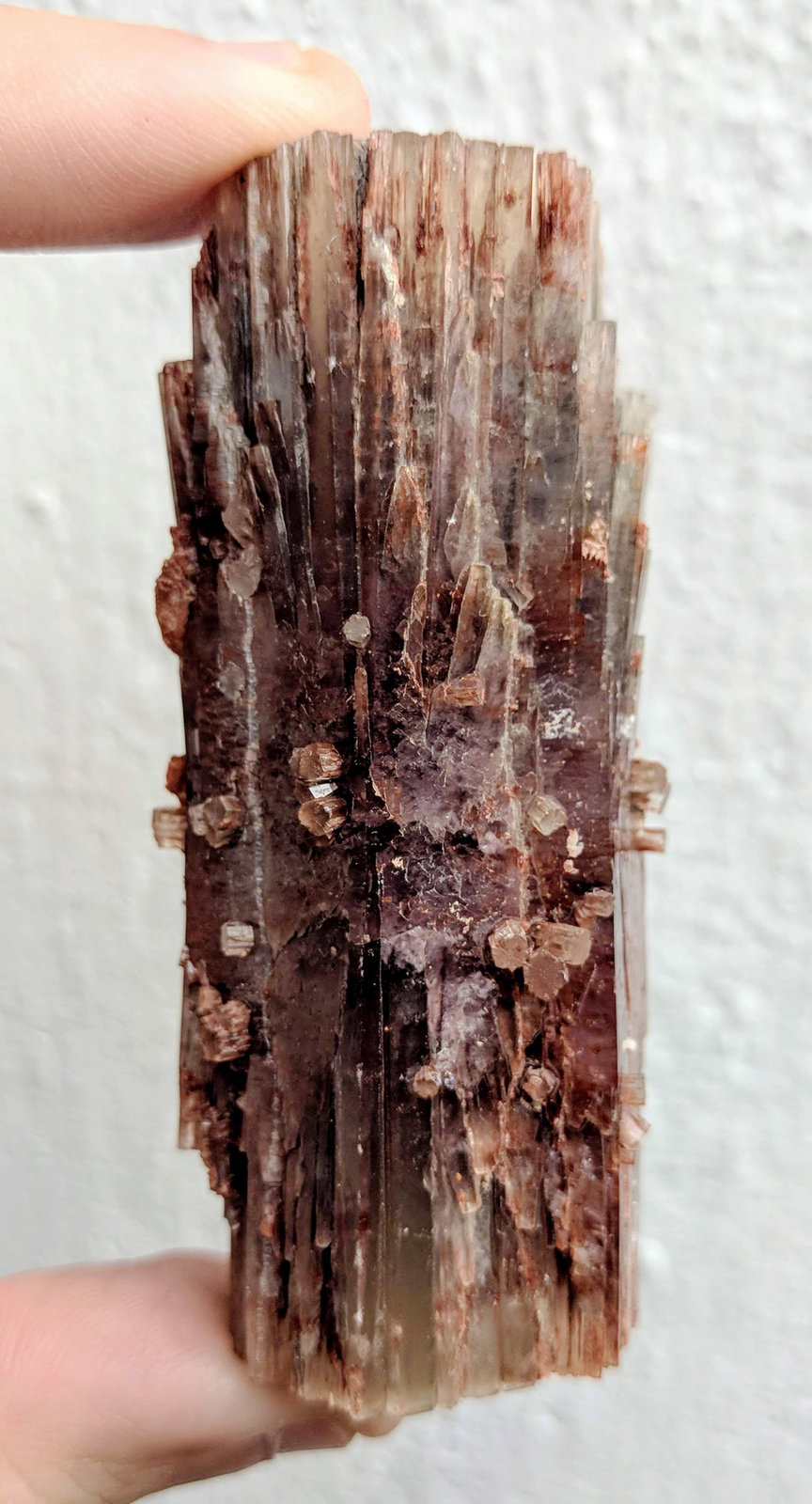 Aragonito
3,1 x 7,3 cm.
(Autor: carles)
