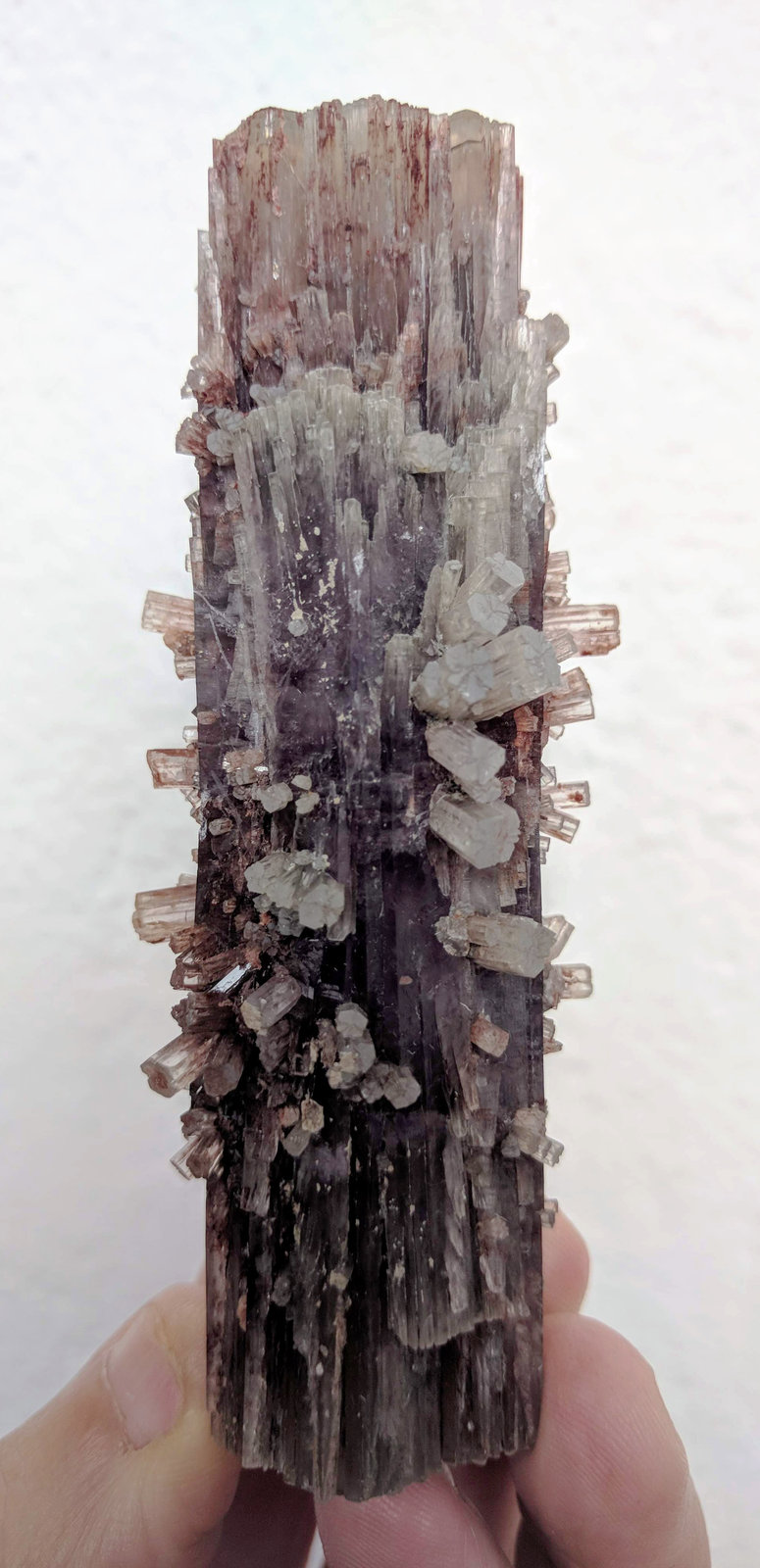 Aragonito
3,3 x 9,4 cm.
(Autor: carles)