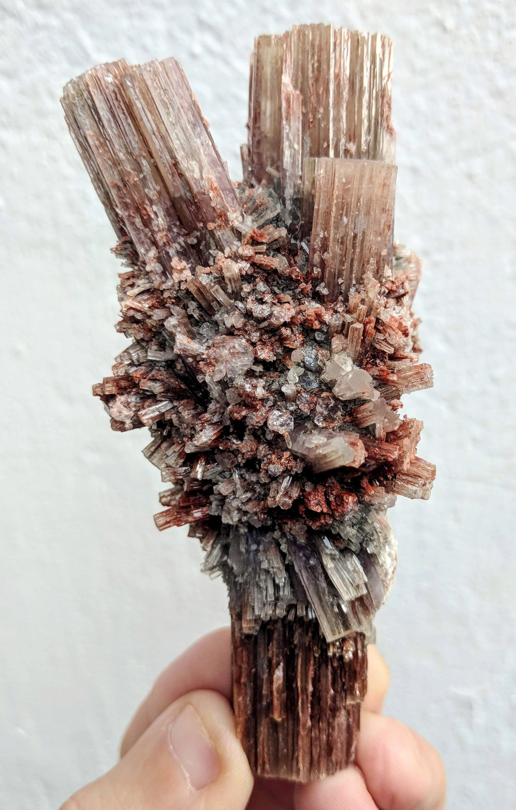 Aragonito
5,0 x 10,2 cm.
(Autor: carles)