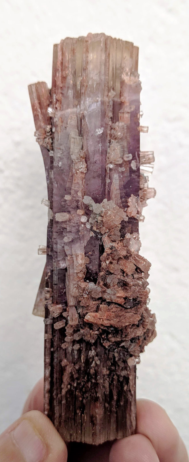 Aragonito
3,3 x 9,6 cm.
(Autor: carles)
