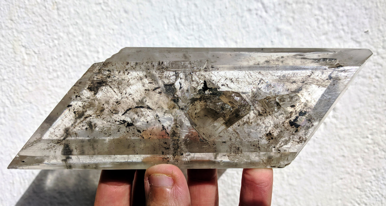 Yeso
17,3 x 8,0 cm.
(Autor: carles)