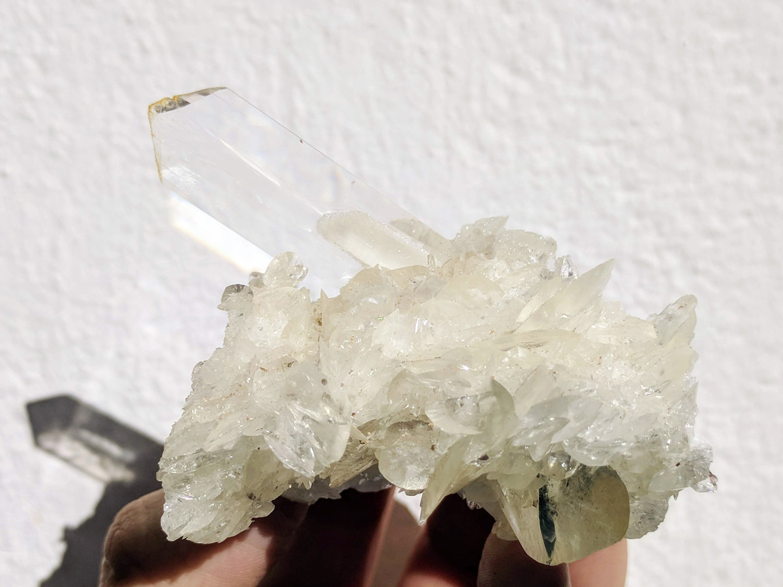 Yeso
8,5 x 6,3 cm.
(Autor: carles)
