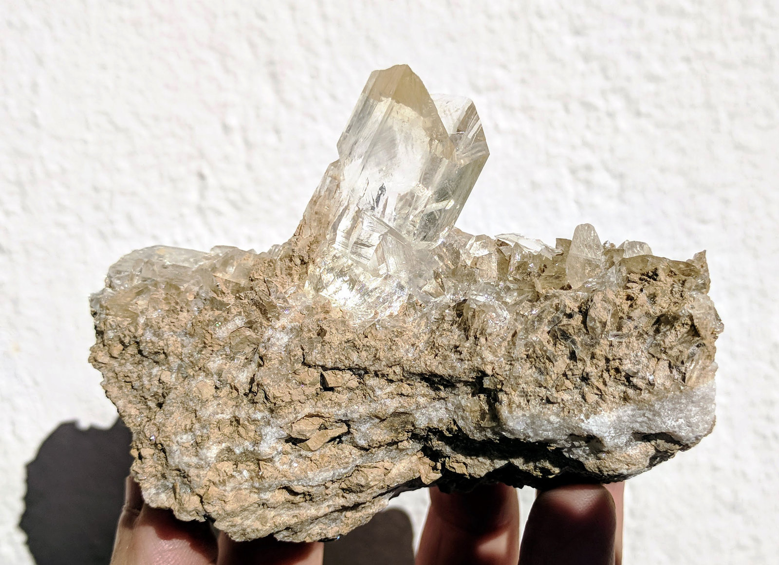 Yeso
9,4 x 4,7 cm.
(Autor: carles)