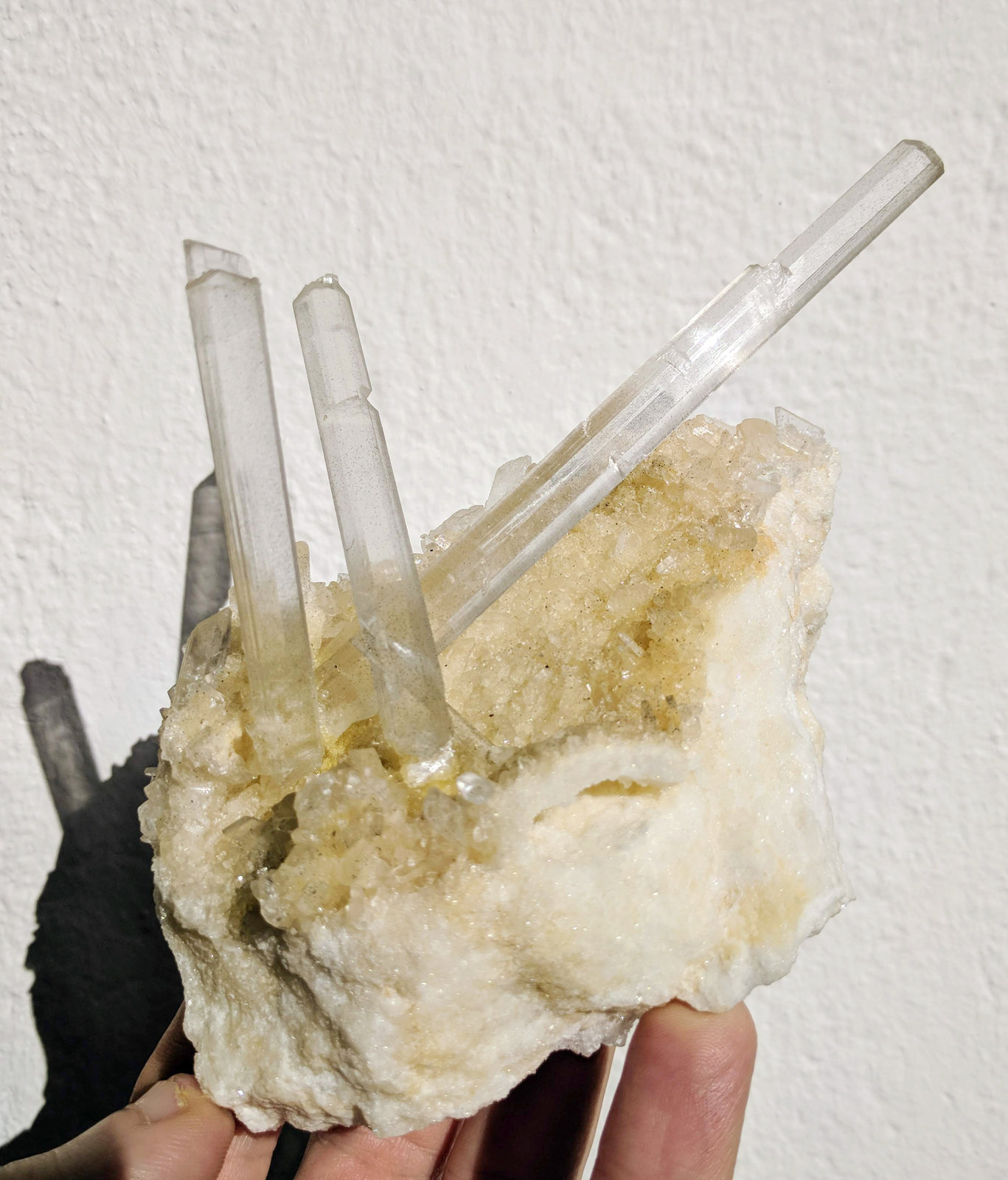 Yeso
12,0 x 8,0 cm.
(Autor: carles)