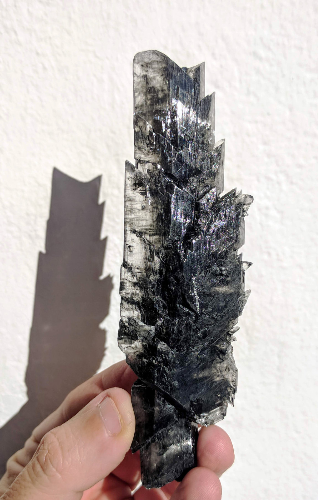 Yeso
4,0 x 13,6 cm.
(Autor: carles)