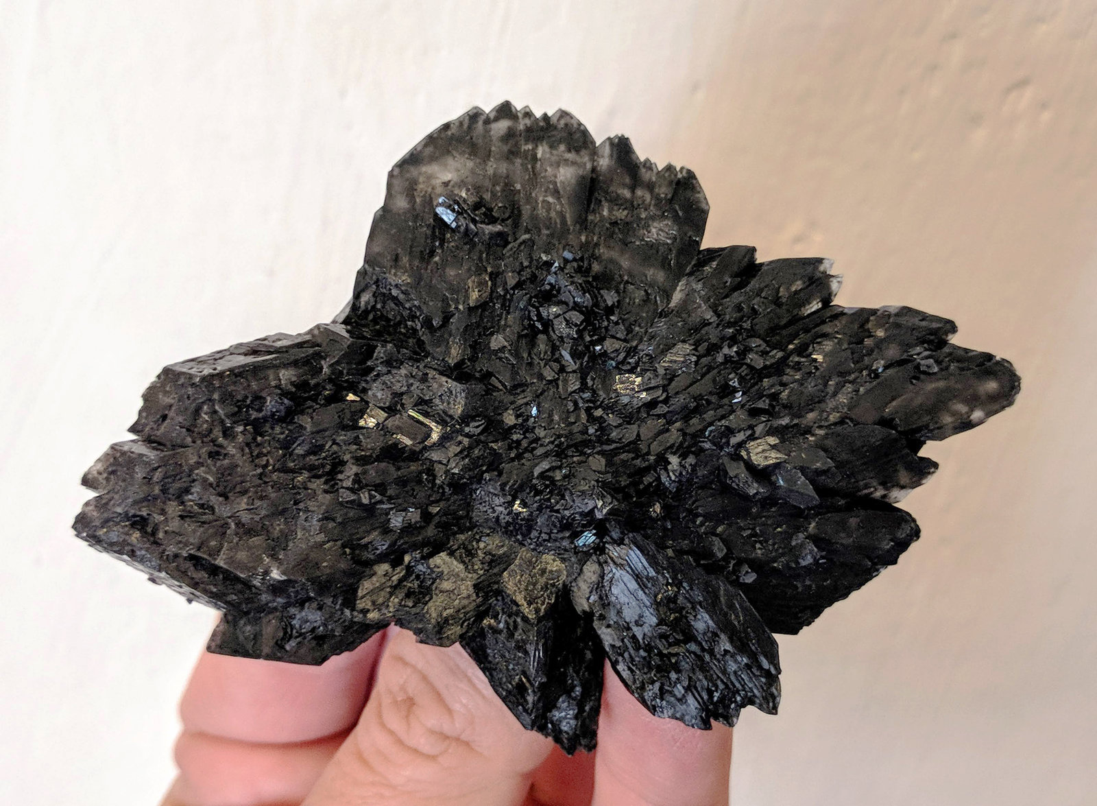 Yeso
9,2 x 6,6 cm.
(Autor: carles)