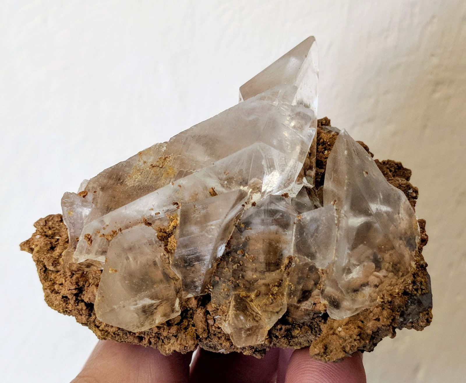 Yeso
7,0 x 5,5 cm.
(Autor: carles)