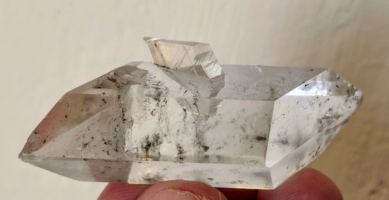 Yeso
5,7 x 2,3 cm.
(Autor: carles)