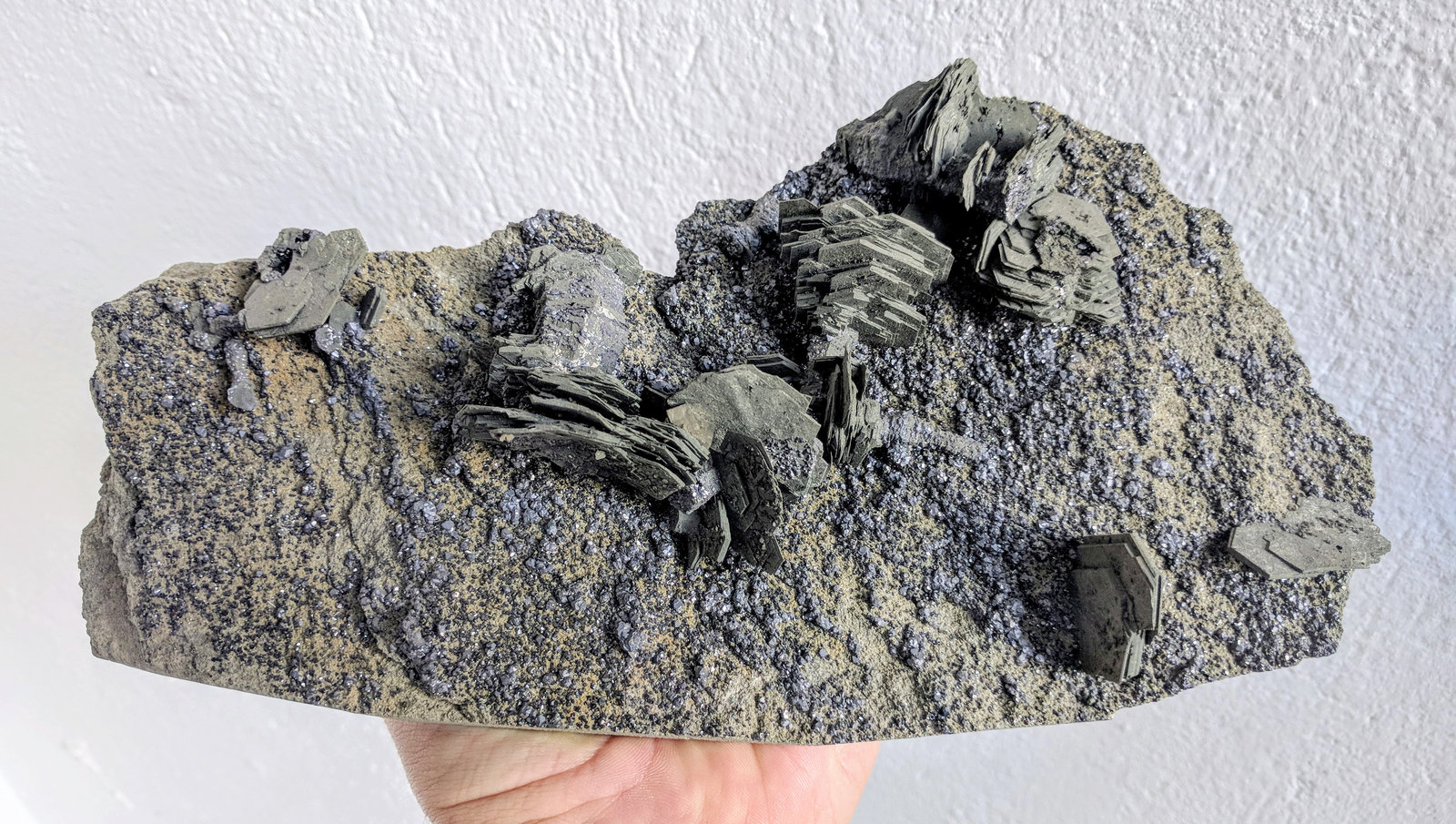 Pirrotita, Pirita, Galena
24,0 x 12,0 cm.
(Autor: carles)