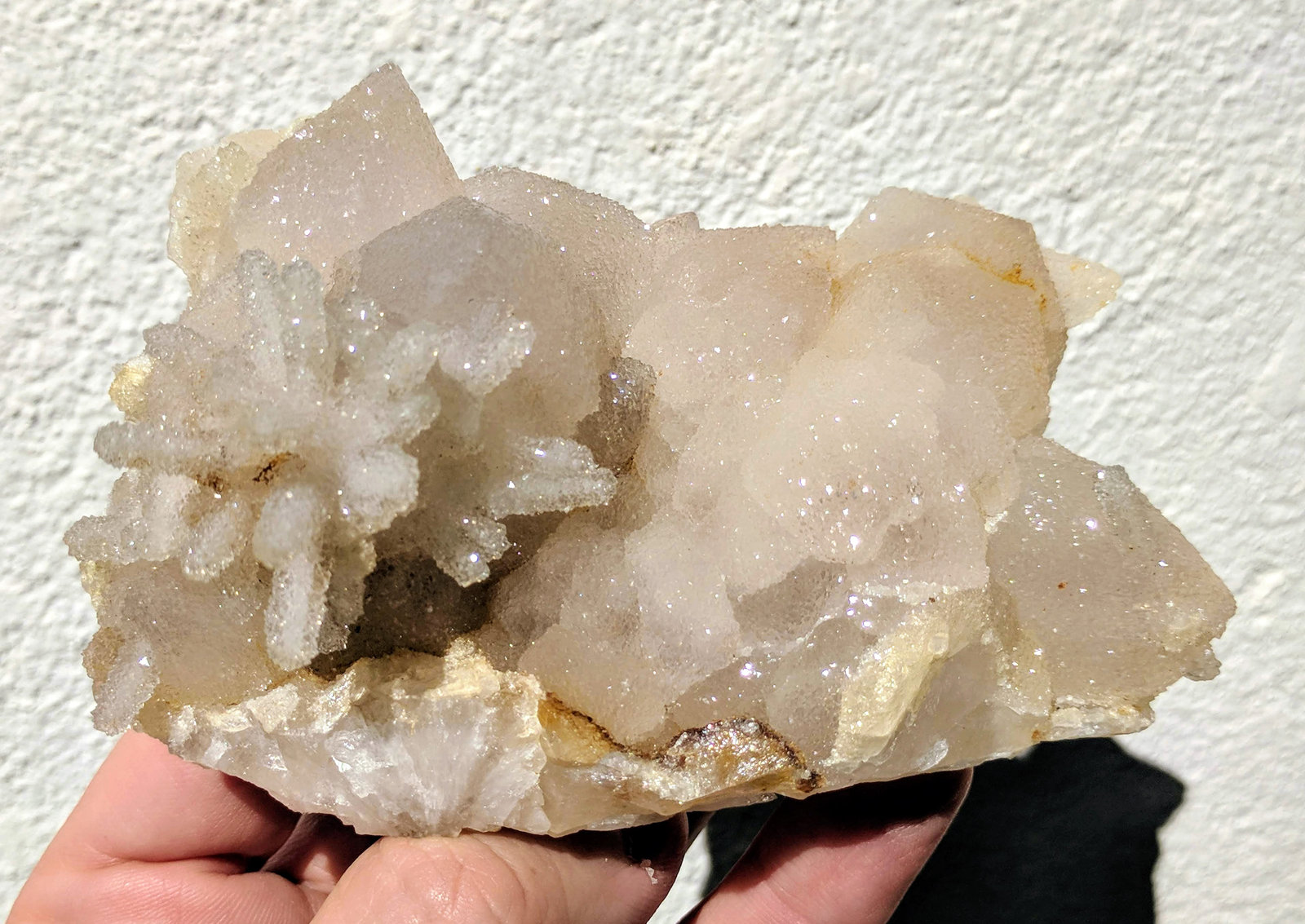 Cuarzo (variedad calcedonia)
11,0 x 7,4 cm.
(Autor: carles)