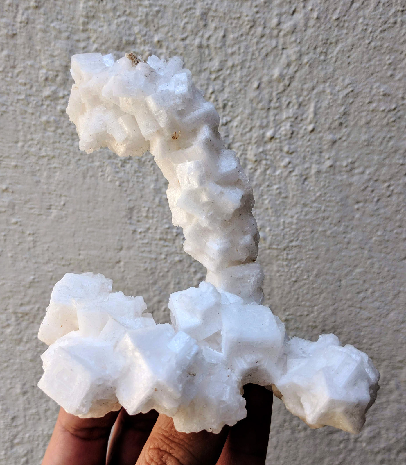 Halita
9,8 x 7,2 cm.
(Autor: carles)
