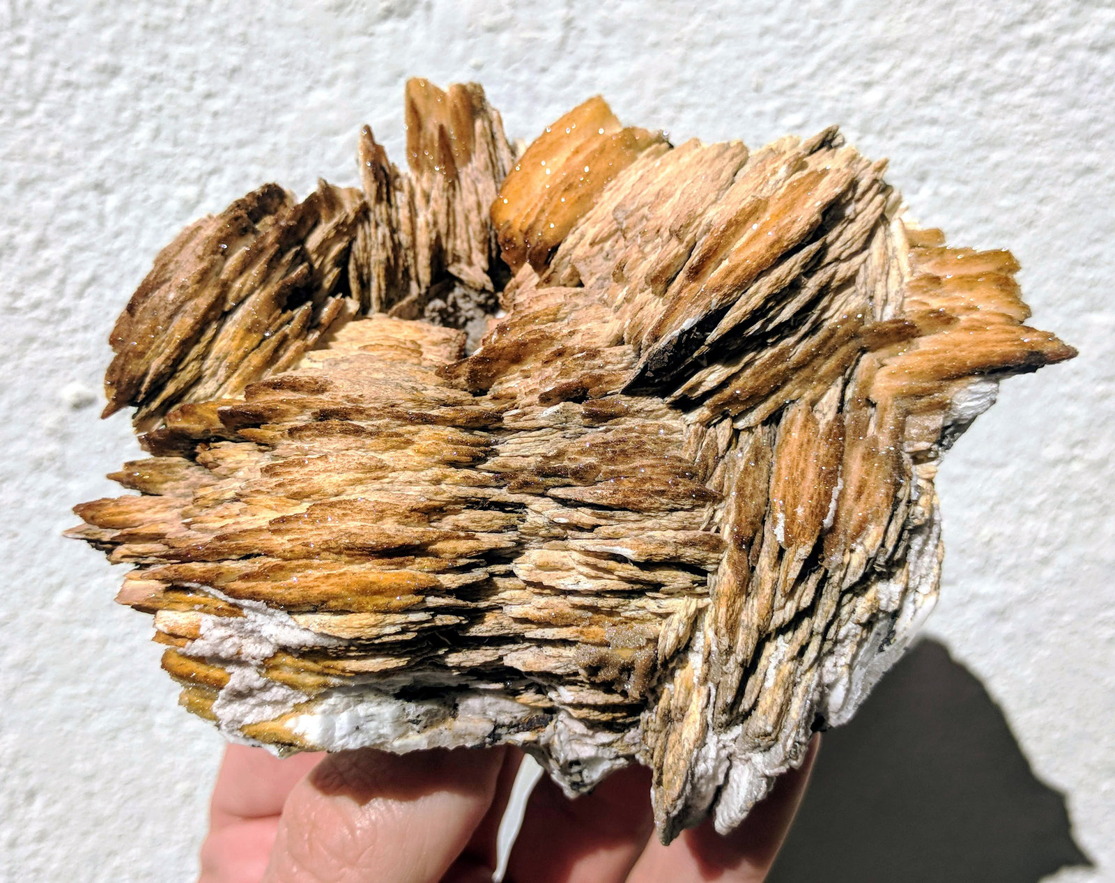 Barita
11,1 x 9,2 cm.
(Autor: carles)