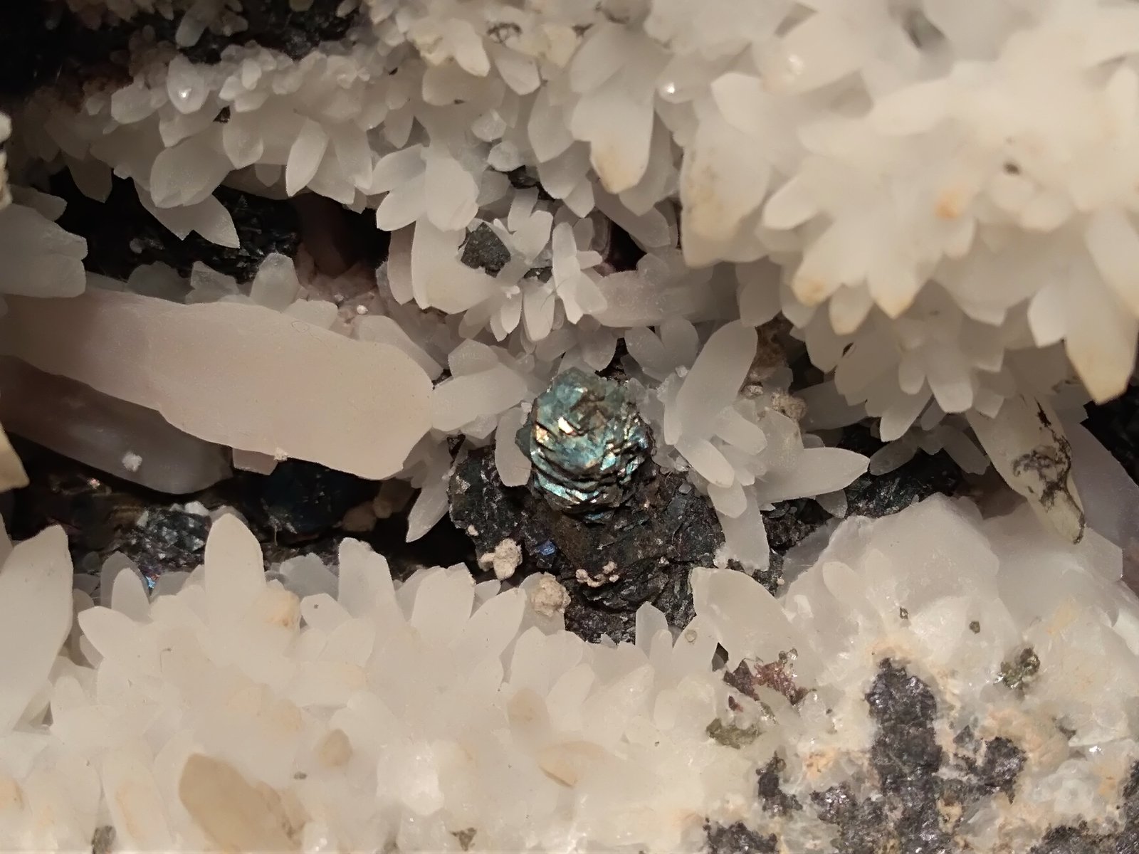 Cuarzo, Calcopirita, Dolomita, Pirita, Galena, Esfalerita, Berthierita
240 x 150 mm
(Autor: Sante Celiberti)