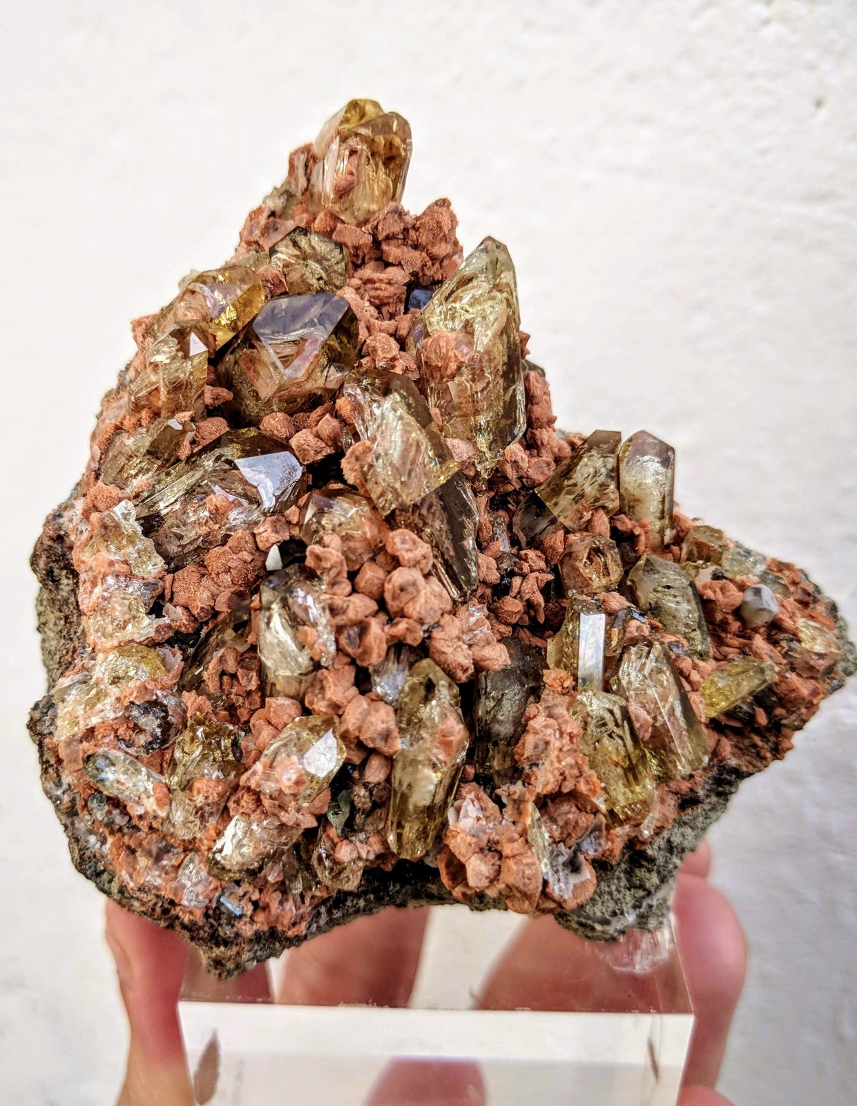 Fluorapatito
8,5 x 6,0 cm.
(Autor: carles)