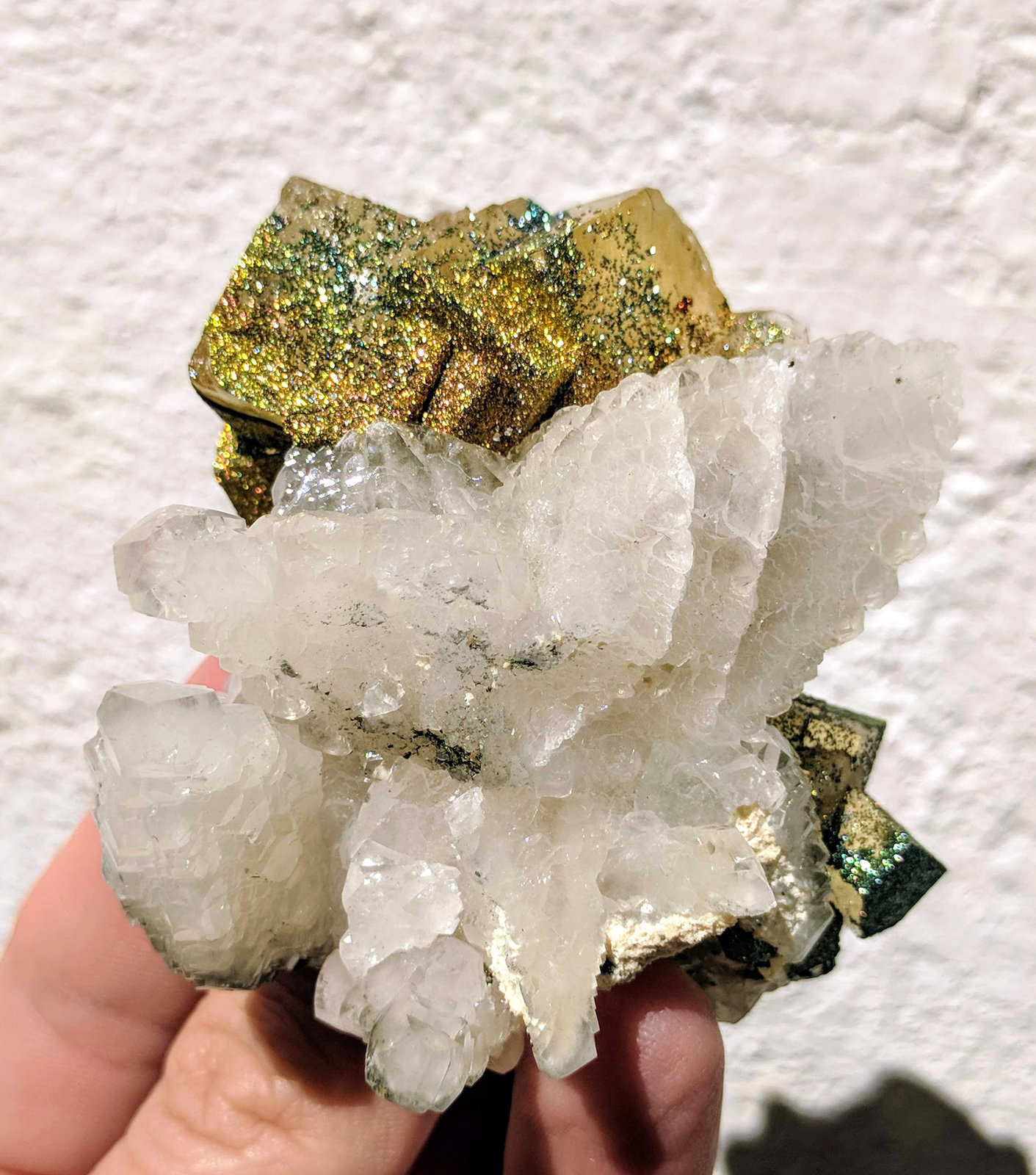 Calcita, Fluorita, Pirita
7,0 x 6,5 cm
(Autor: carles)