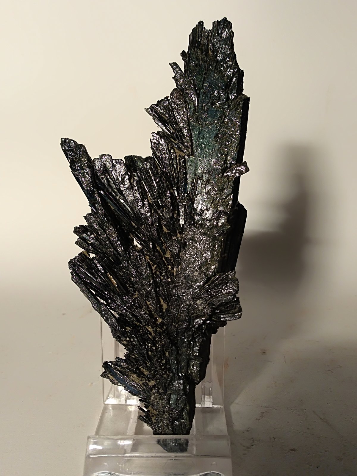 Vivianita
133 x 58 mm
(Autor: Sante Celiberti)