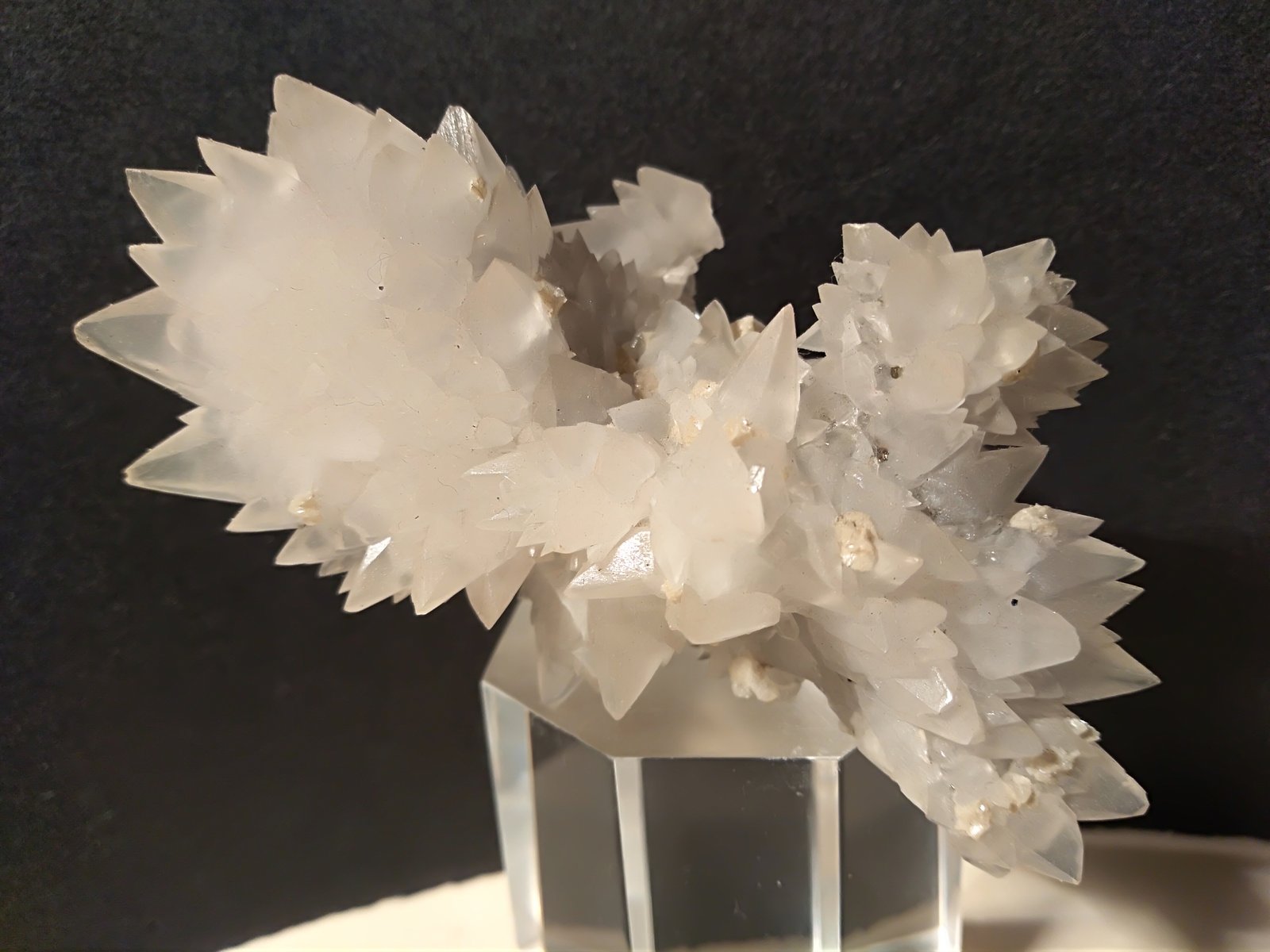 Calcita (variedad manganocalcita)
81 x 44 mm
(Autor: Sante Celiberti)