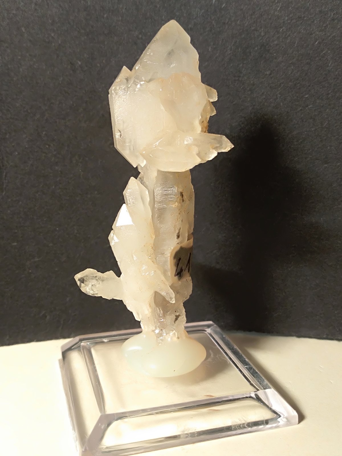 Cuarzo
65 x 23 mm
(Autor: Sante Celiberti)