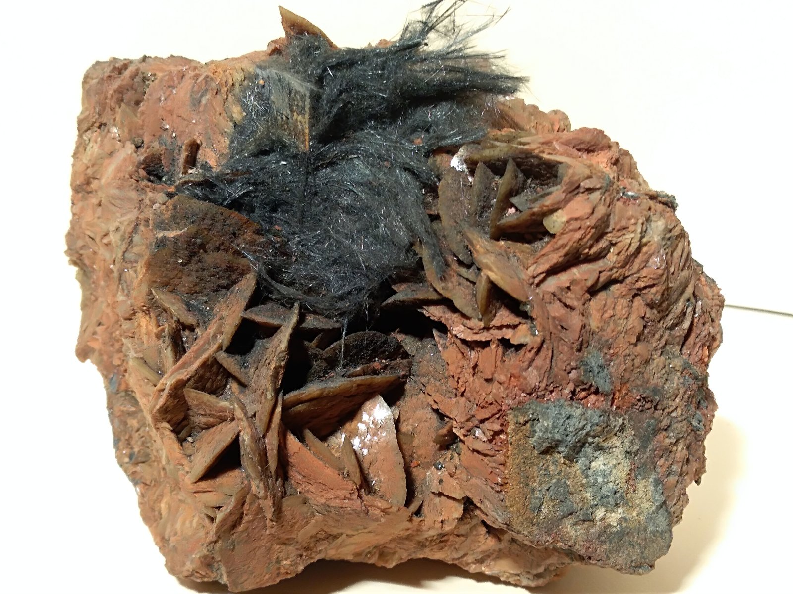 Boulangerita, Siderita
107 x 85 mm
(Autor: Sante Celiberti)