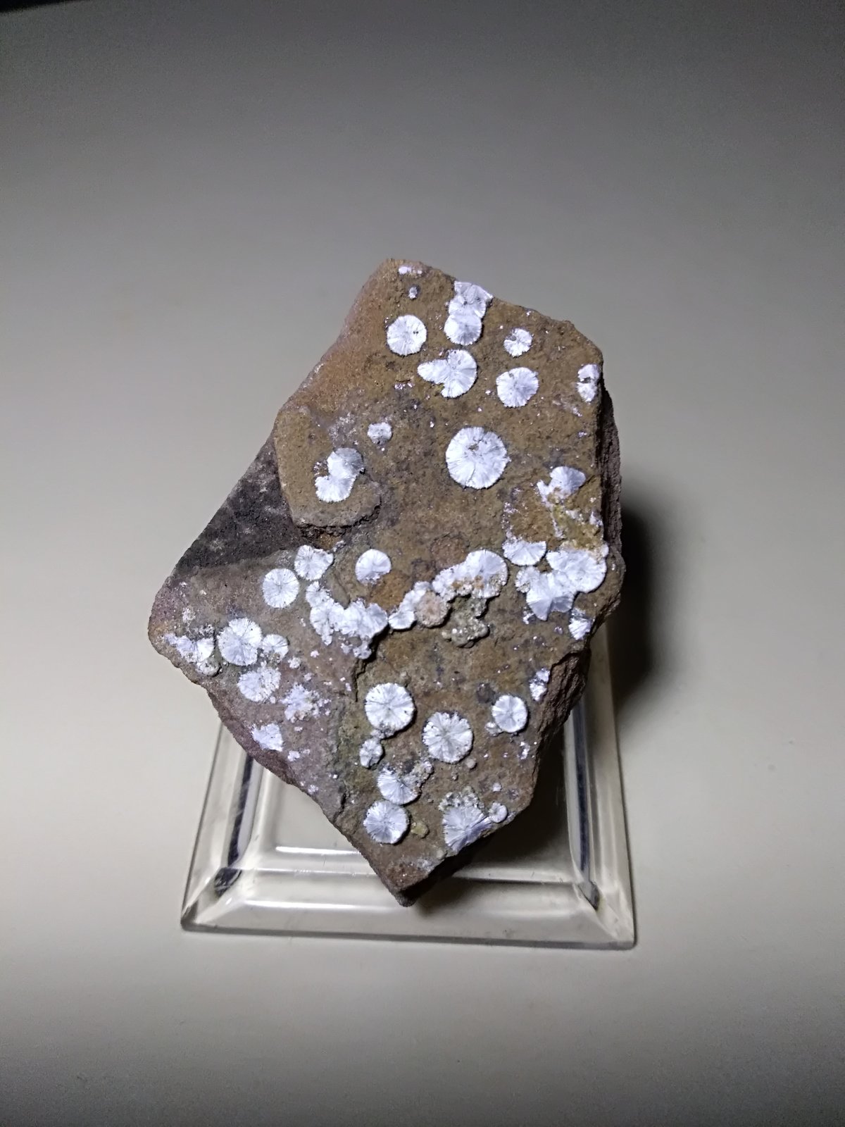 Dawsonita
45 x 33 mm
(Autor: Sante Celiberti)