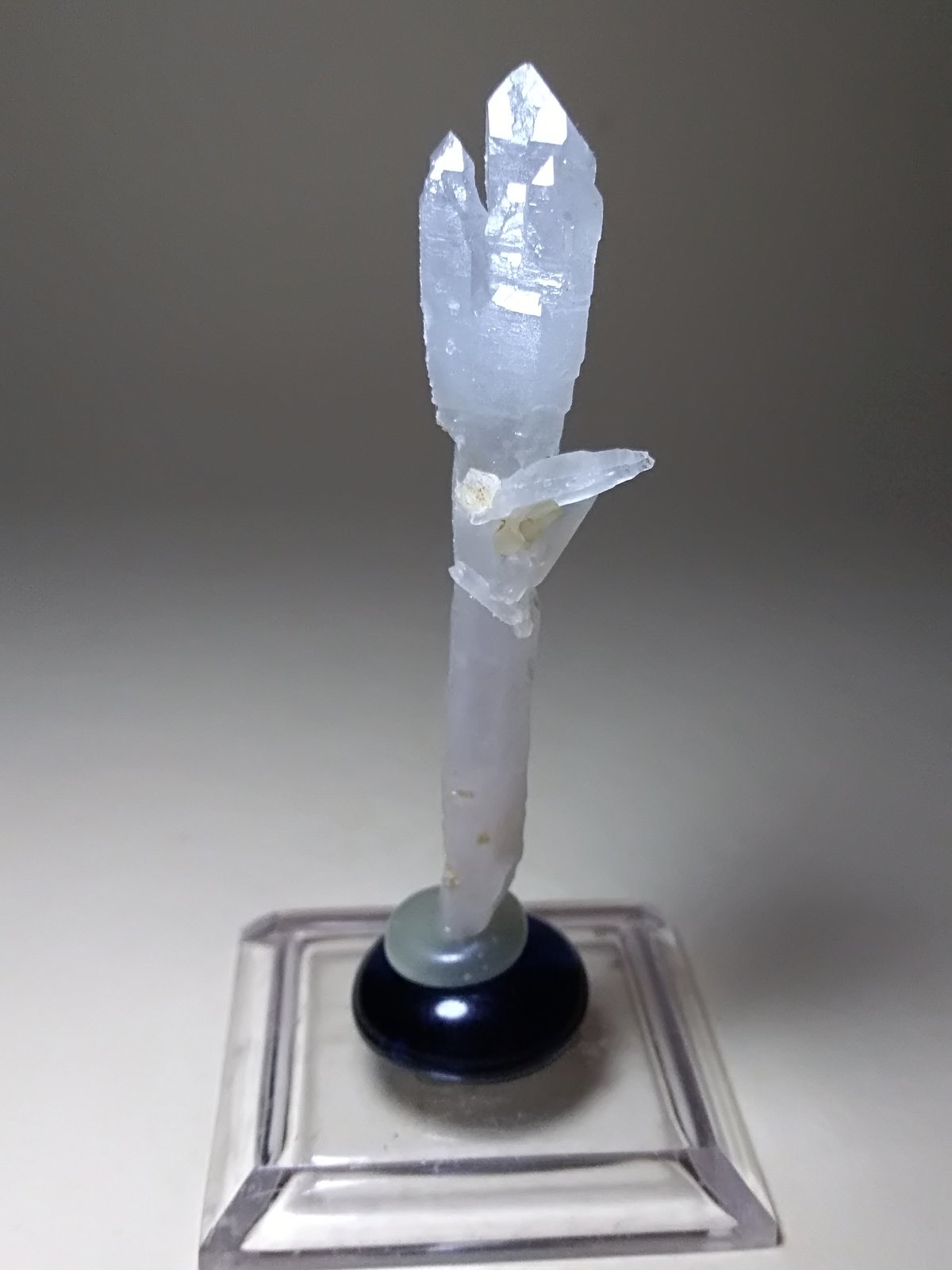 Cuarzo (variedad cetro)
62 x 16 mm
(Autor: Sante Celiberti)