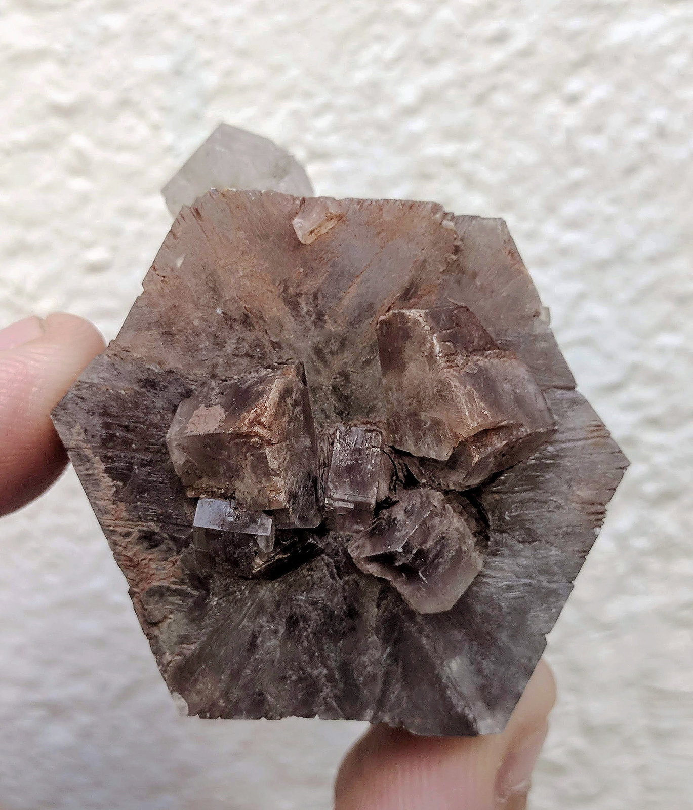 Aragonito
4,0 x 4,3 cm.
(Autor: carles)