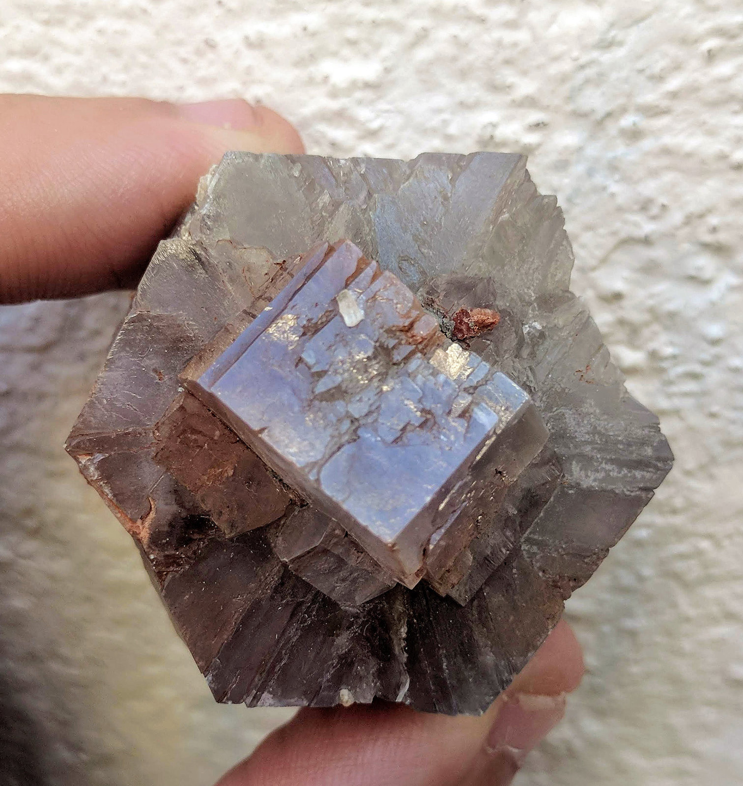 Aragonito
3,8 x 3,3 cm.
(Autor: carles)