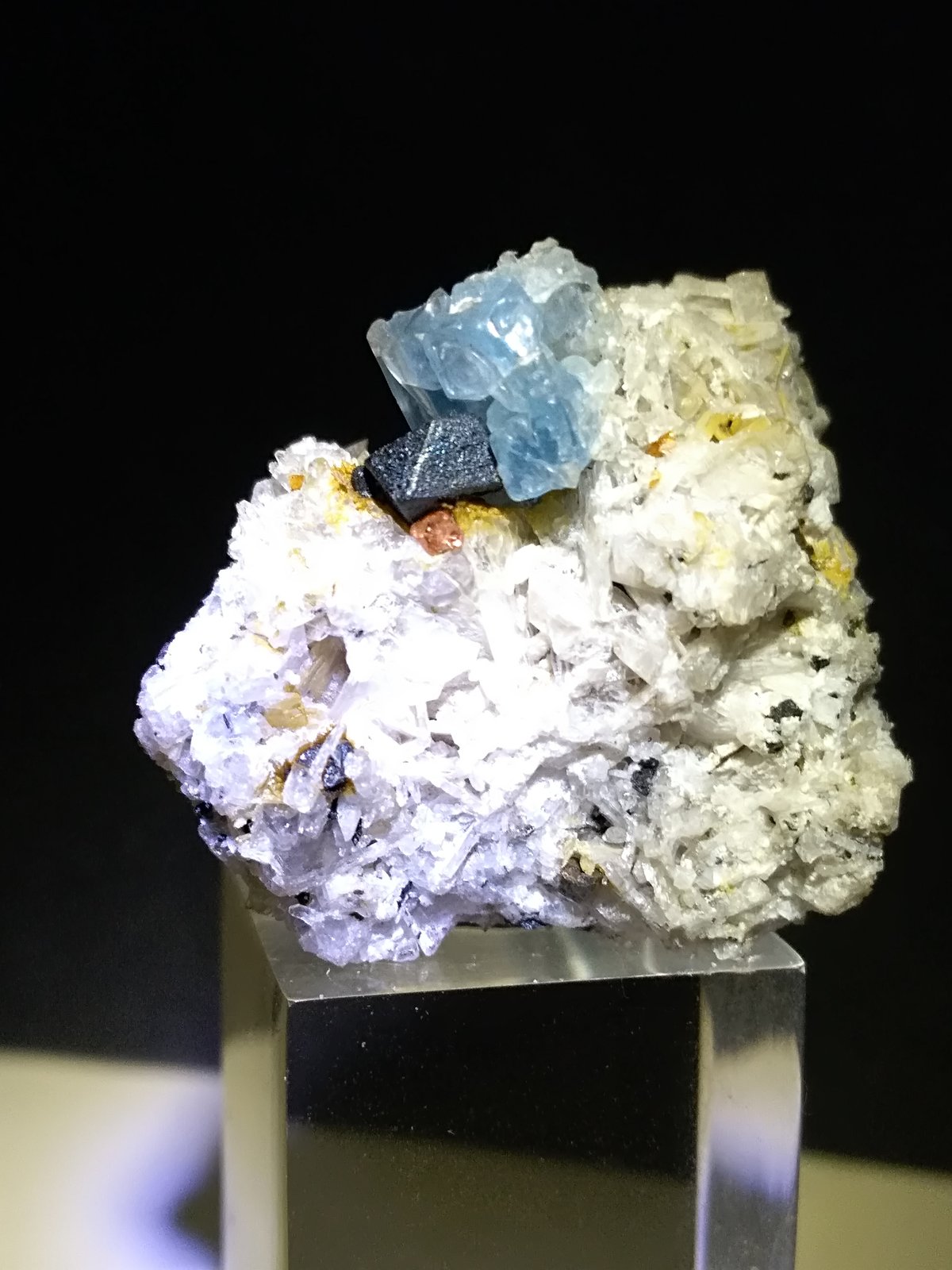 Haüyna, Magnetita, Zircon
26 x 23 mm
(Autor: Sante Celiberti)