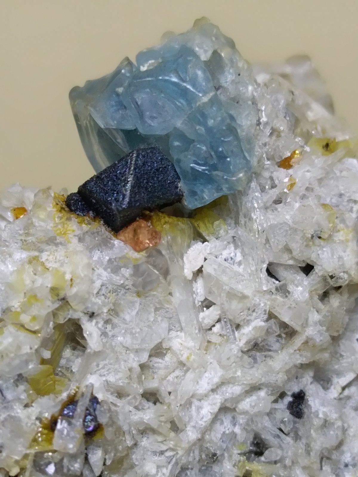 Hauyna, Magnetita, Zircón
26 x 23 mm
(Autor: Sante Celiberti)