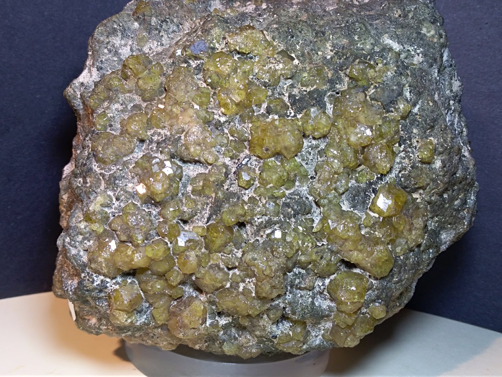 Grossularia
125 x 102 mm
(Autor: Sante Celiberti)