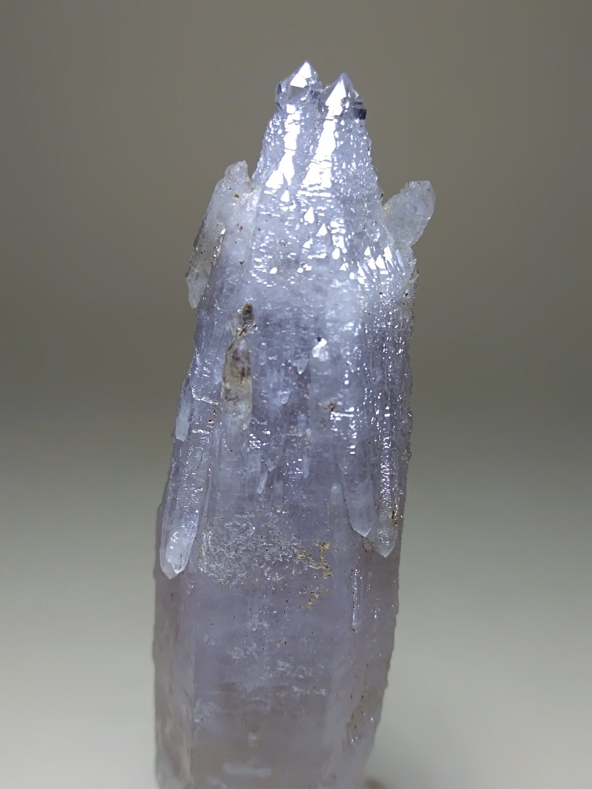 Cuarzo (variedad cetro)
62 x 16 mm
(Autor: Sante Celiberti)