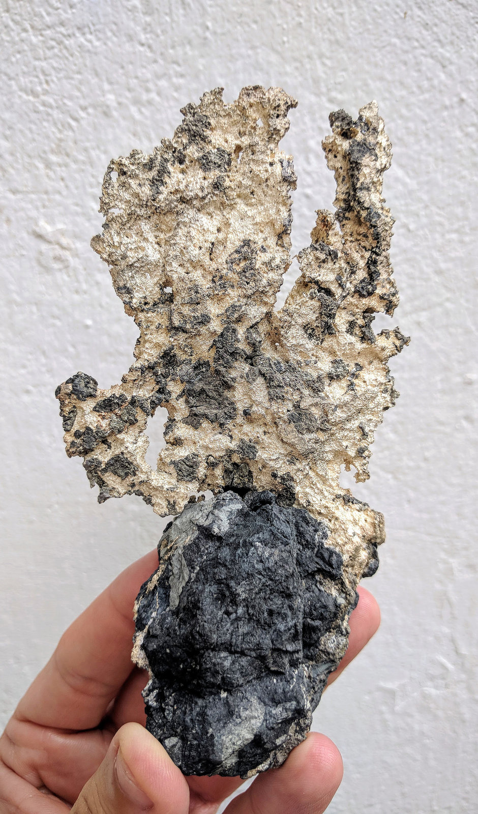 Plata
15,0 x 7,8 cm.
(Autor: carles)