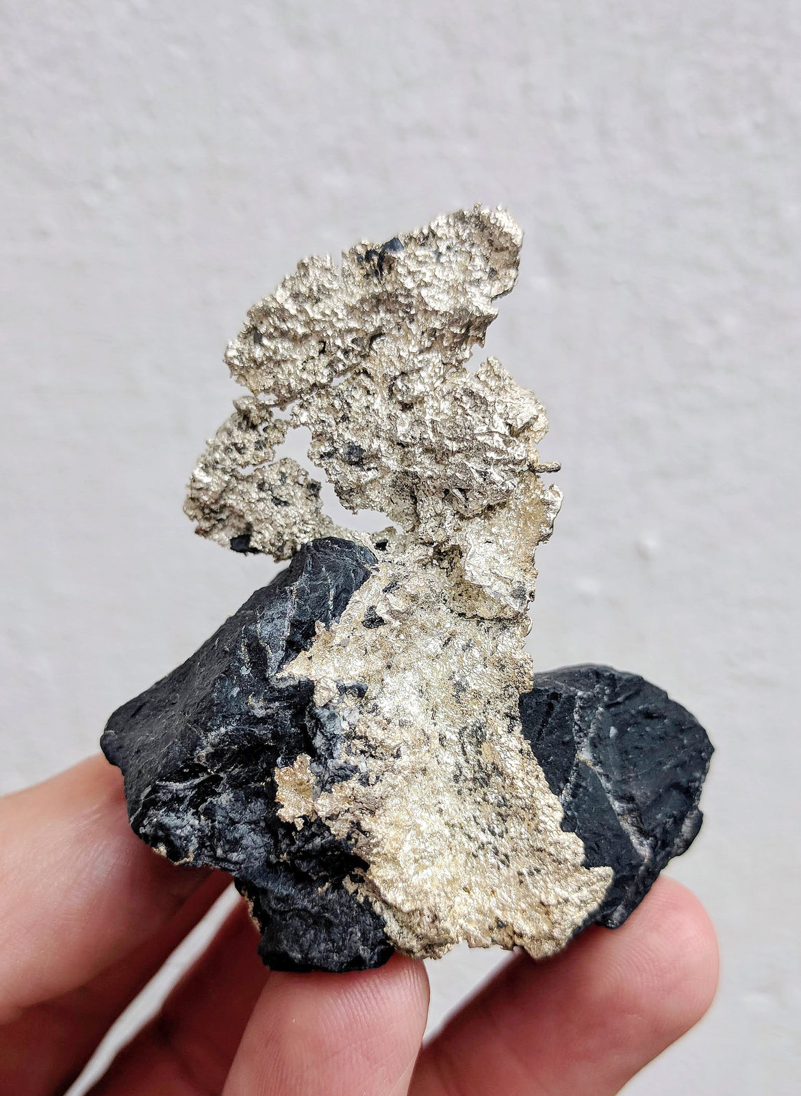Plata
5,2 x 4,9 cm.
(Autor: carles)