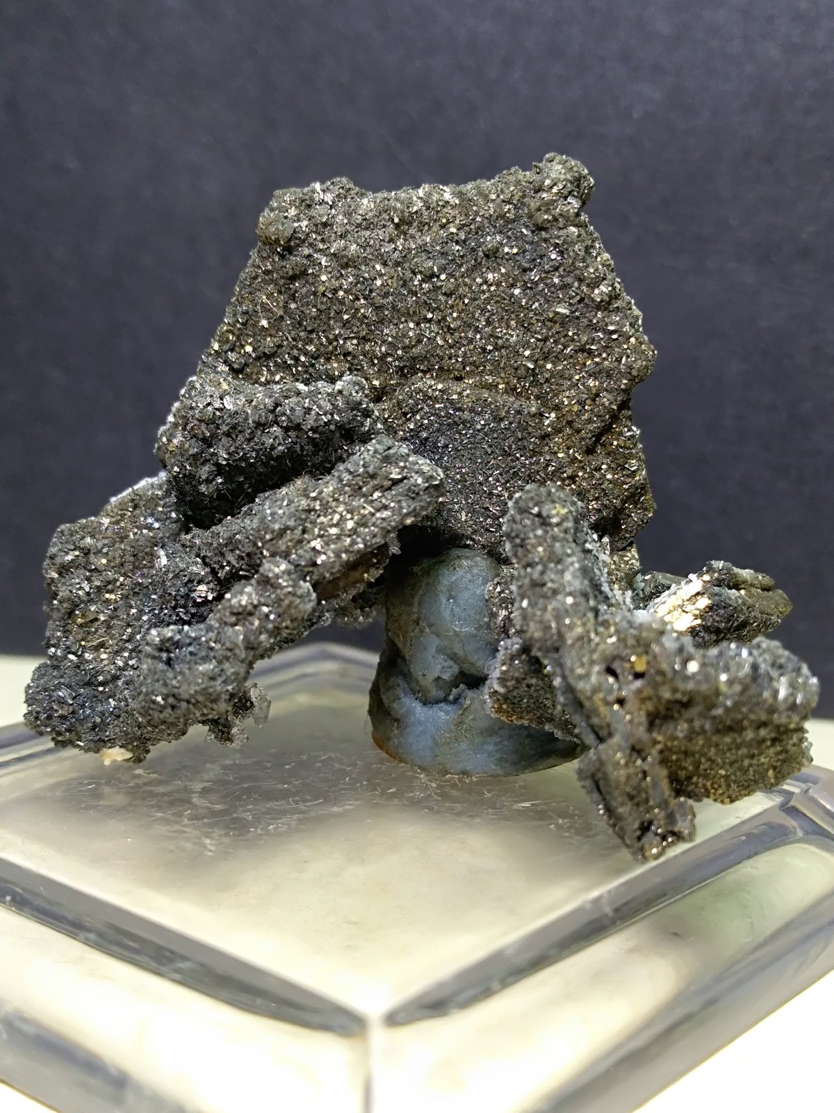 Pirrotita
34 x 27 mm
(Autor: Sante Celiberti)