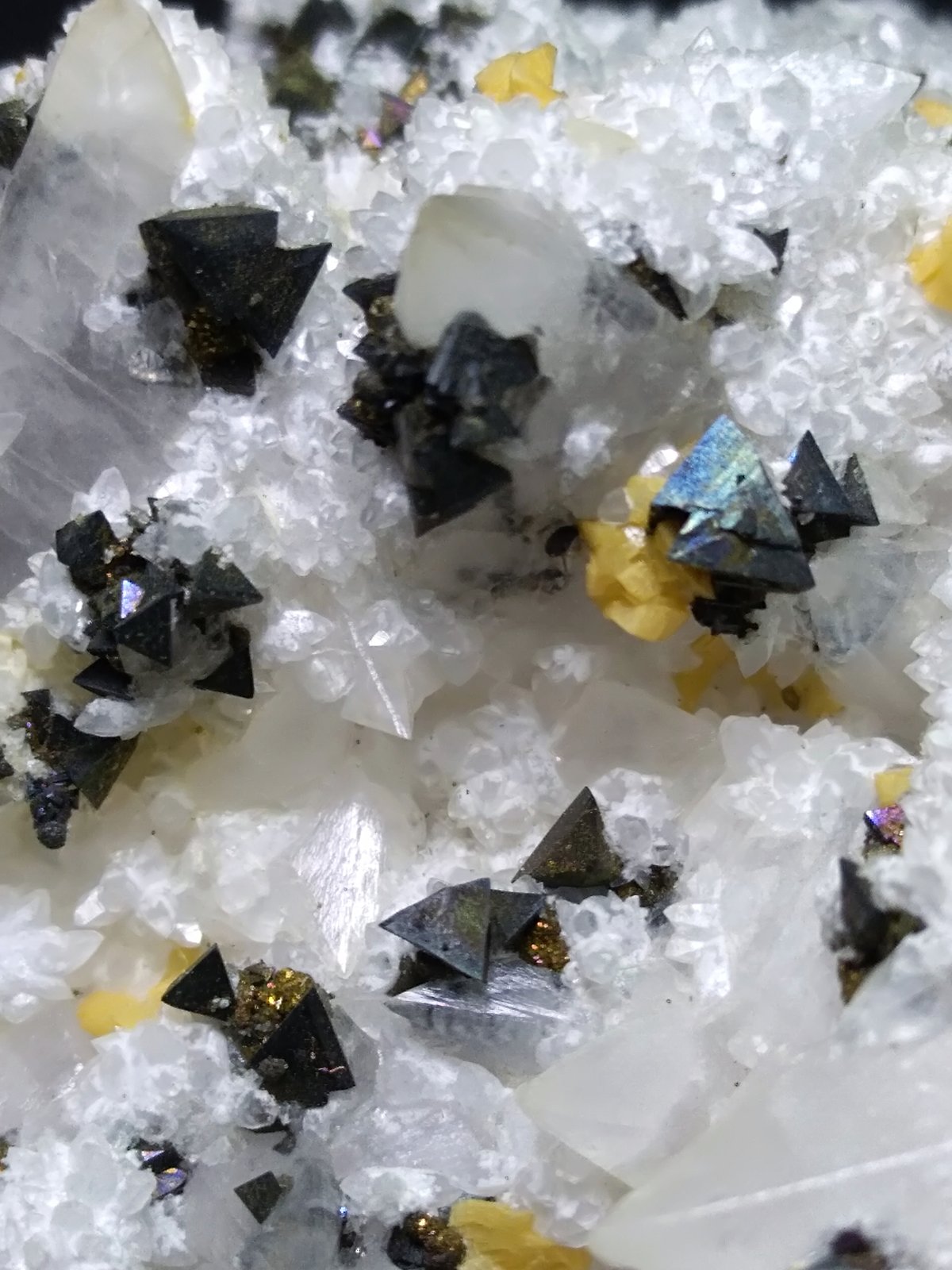 Tetrahedrita, Calcita, Anhidrita, Ankerita
180 x 65 mm
(Autor: Sante Celiberti)