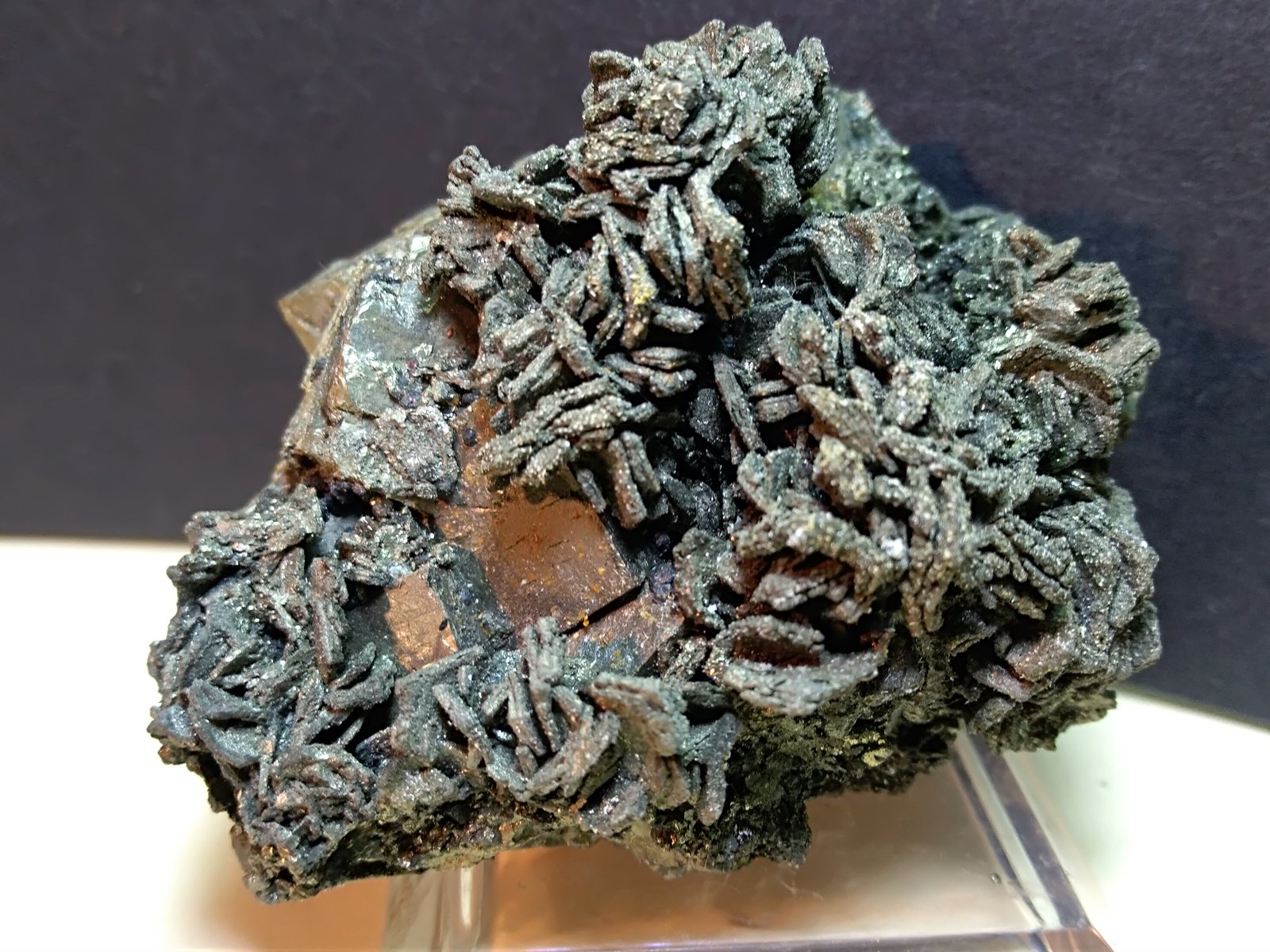 Pirrotita, Pirita
57 x 49 mm
(Autor: Sante Celiberti)
