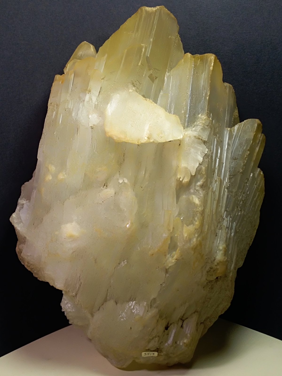 Yeso
370 x 280 mm
(Autor: Sante Celiberti)