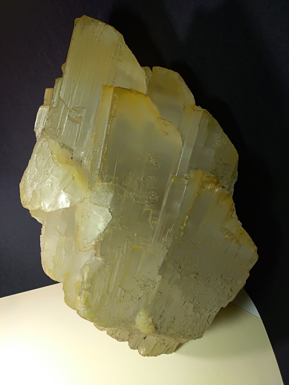 Yeso
370 x 280 mm
(Autor: Sante Celiberti)