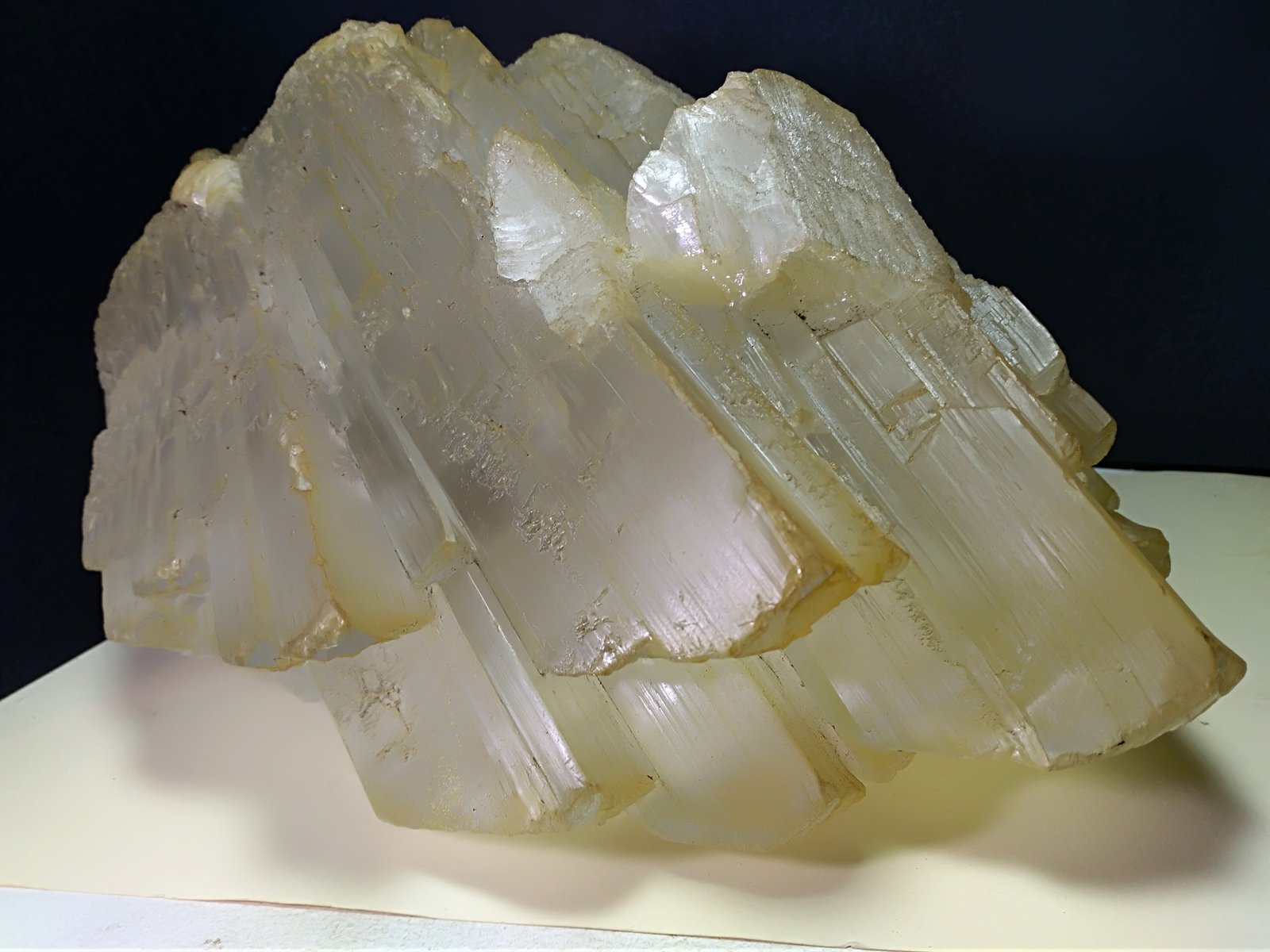 Yeso
370 x 280 mm
(Autor: Sante Celiberti)
