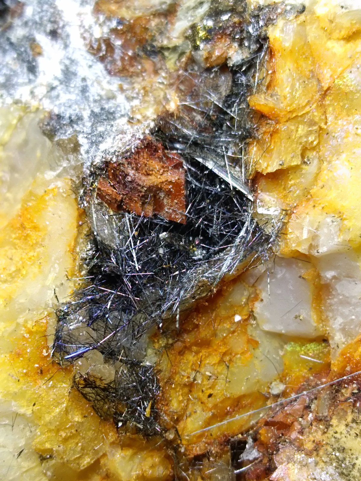 Meneghinita, Boulangerita
200 x 100 mm
(Autor: Sante Celiberti)