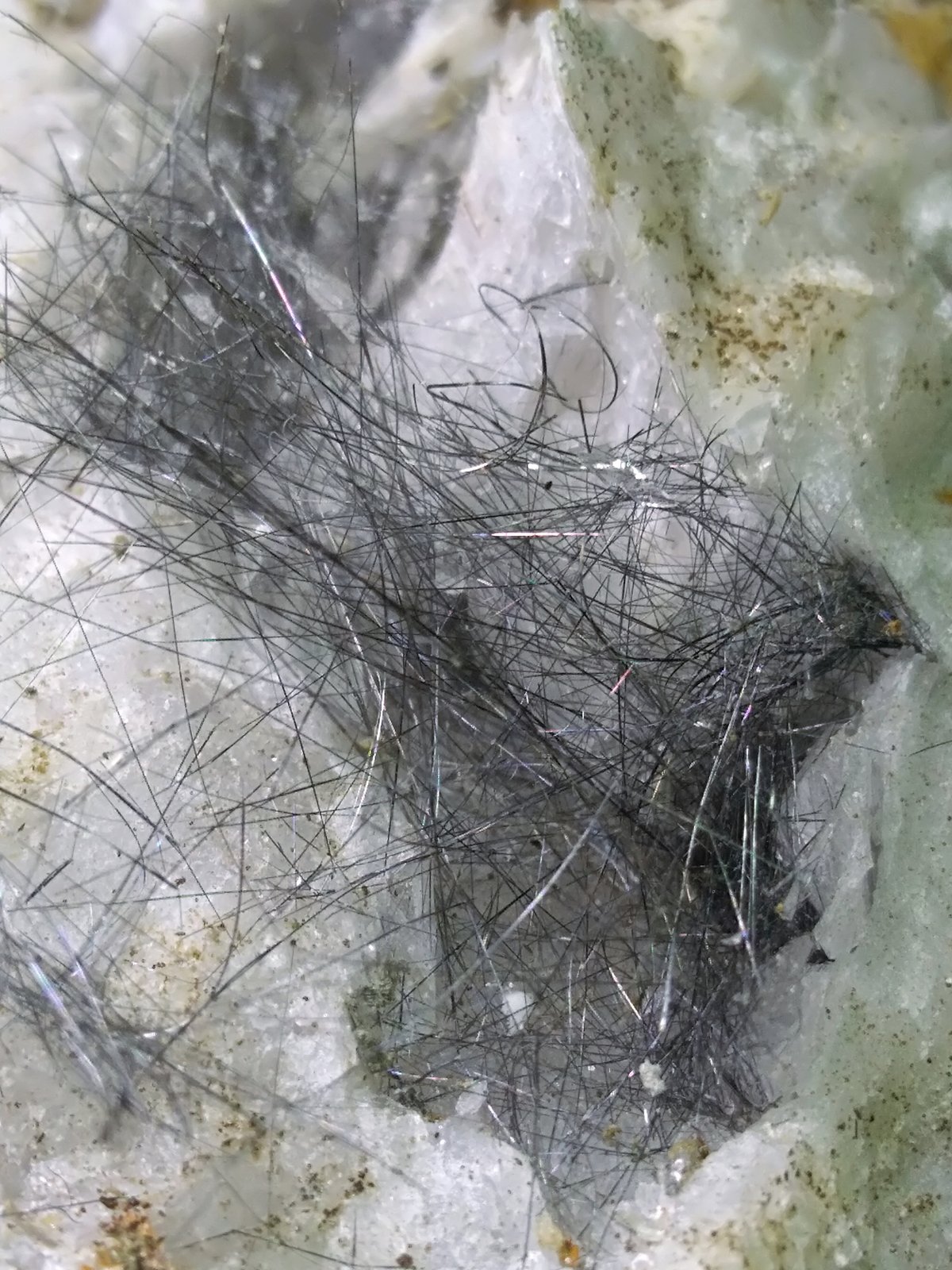 Meneghinita, Boulangerita
200 x 100 mm
(Autor: Sante Celiberti)