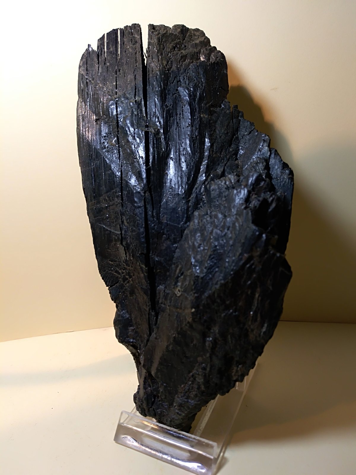 Vivianita
170 x 80 mm
(Autor: Sante Celiberti)