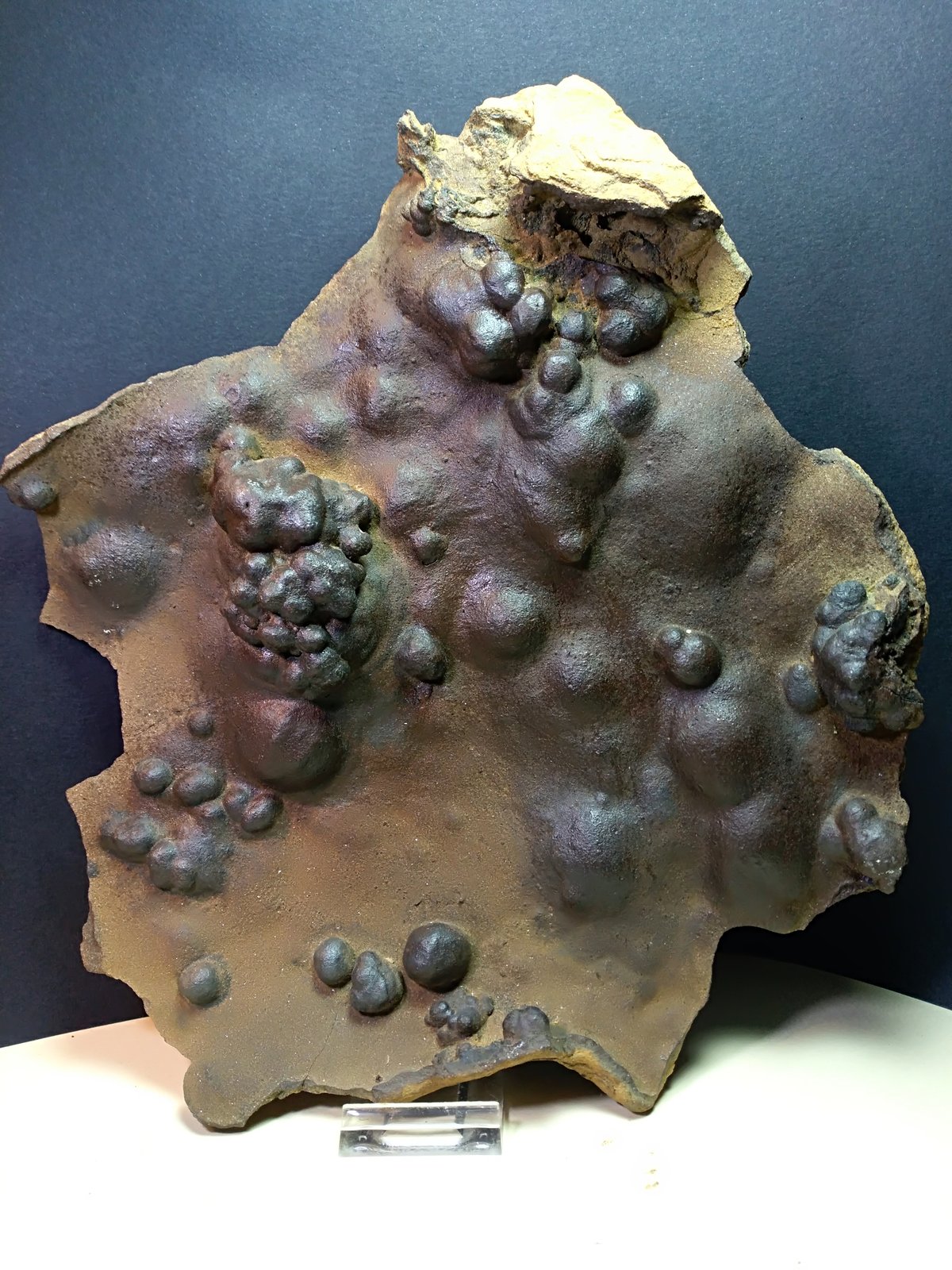 Goethita
280 x 240 mm
(Autor: Sante Celiberti)