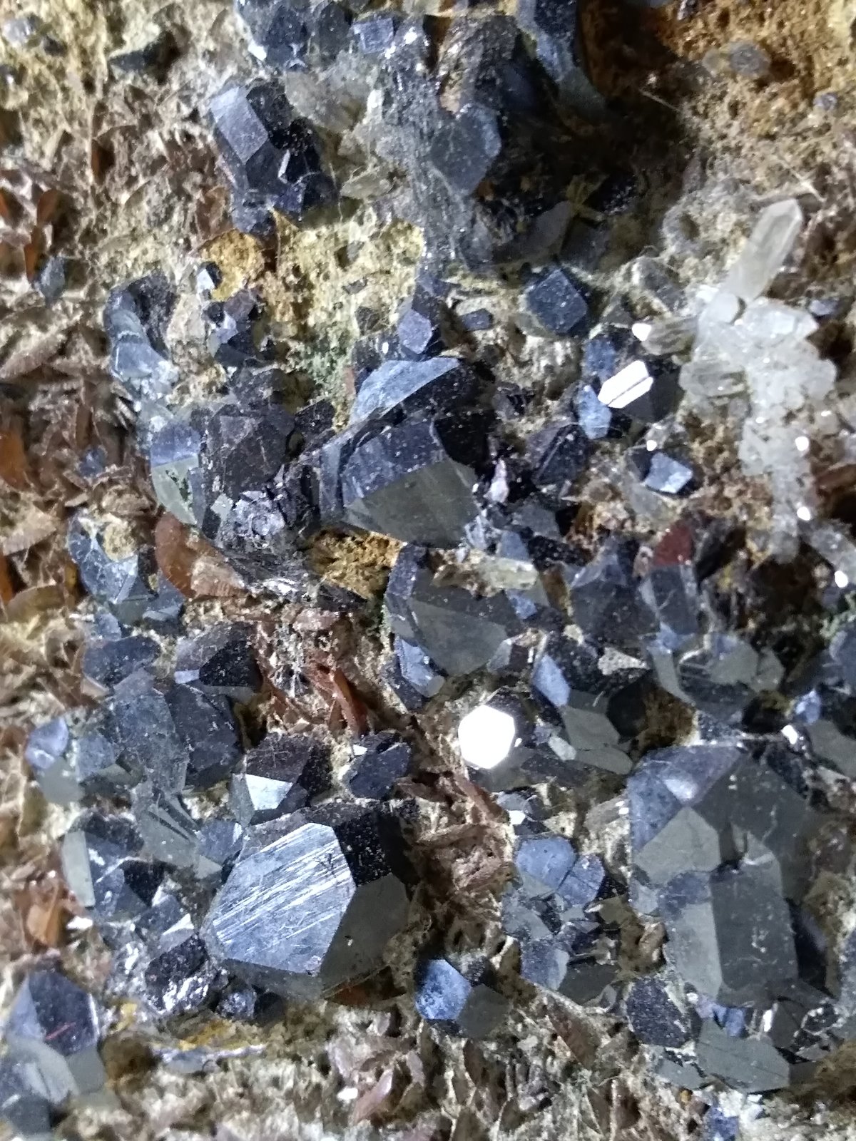 Esfalerita
220 x 160 mm
(Autor: Sante Celiberti)