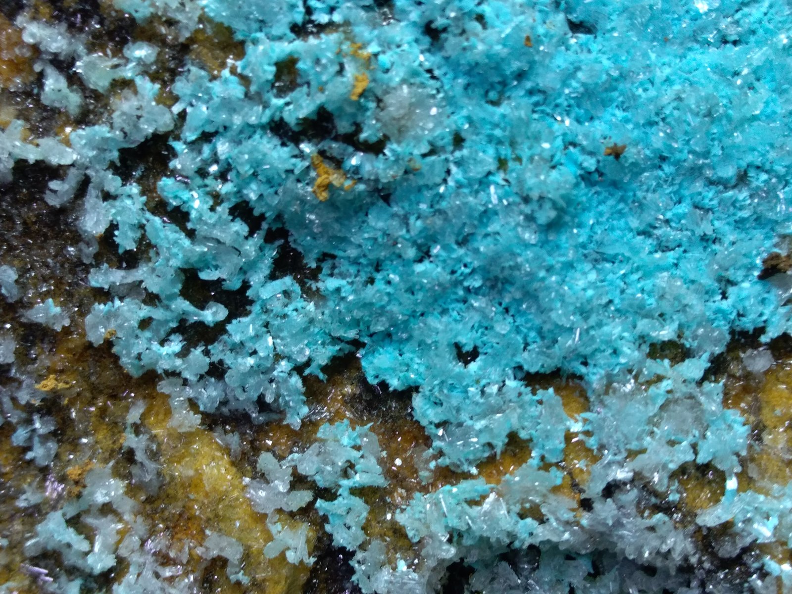 Aurichalcita, Hemimorfita
310 x 250 mm
(Autor: Sante Celiberti)