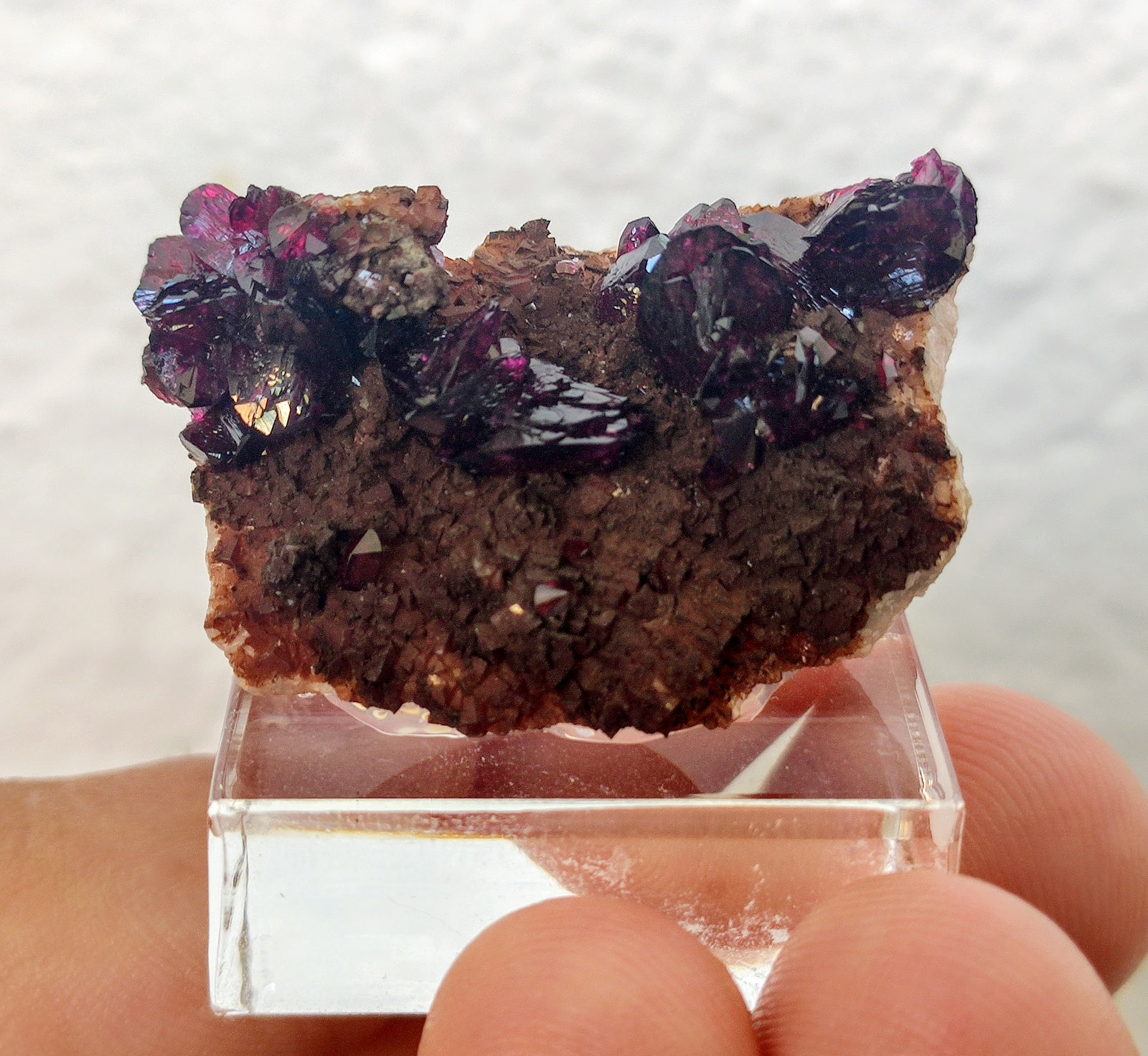 Roselita, Dolomita
3,7 x 2,1 cm.
(Autor: carles)