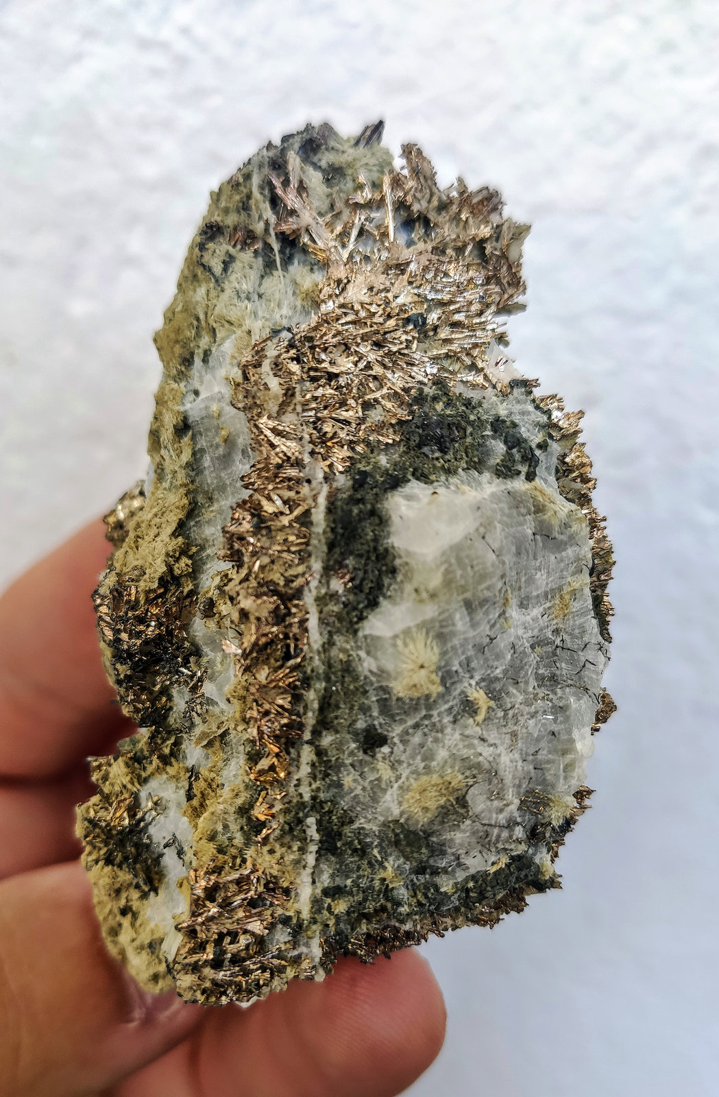 Allargentum, Calcita, Actinolita
8,0 x 4,7 cm.
(Autor: carles)